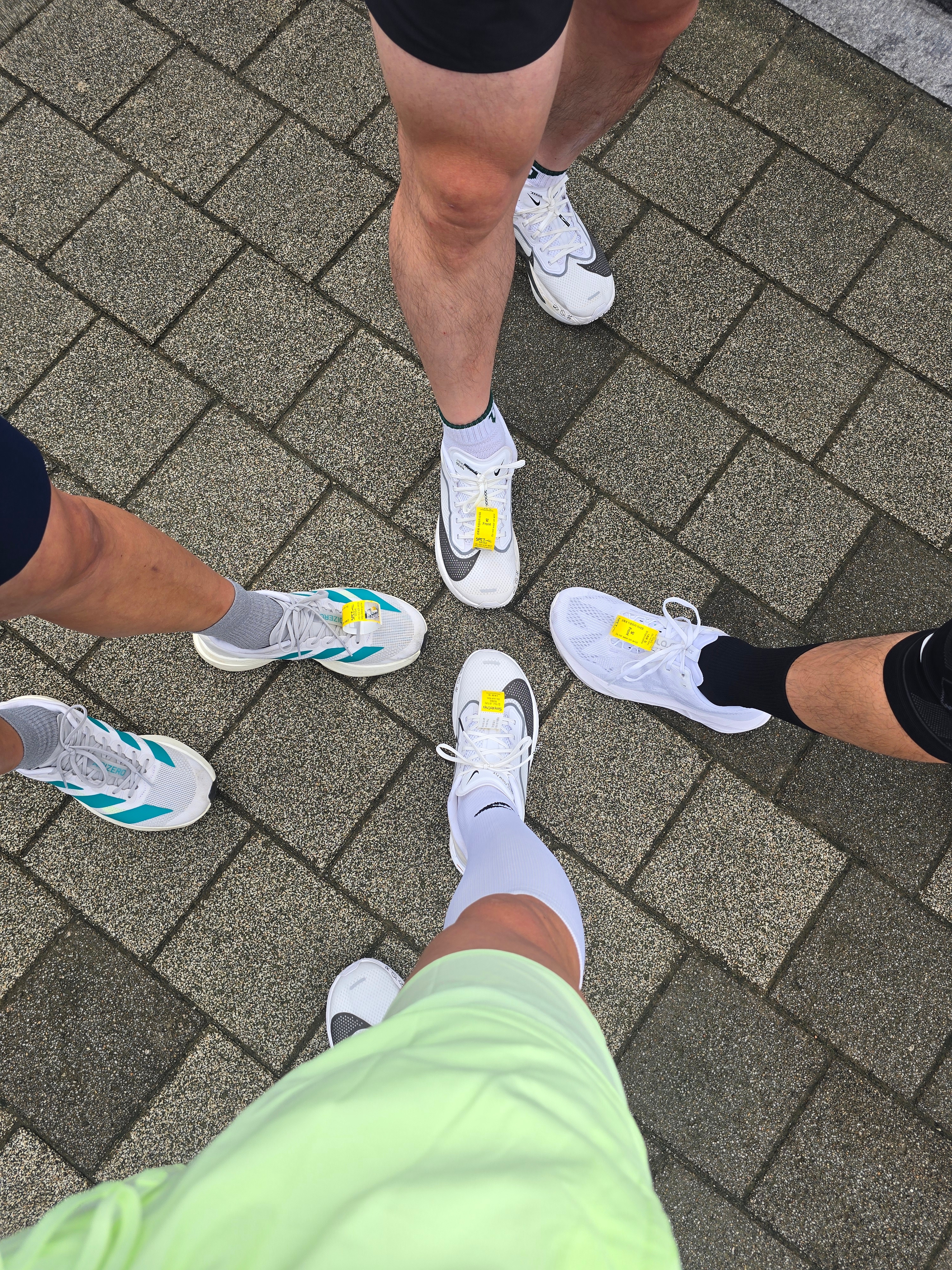 Asics Novablast 5 White Piedmont Grey, Adidas Adizero EVO SL Cloud White Pure Teal 착용 스타일 - 2