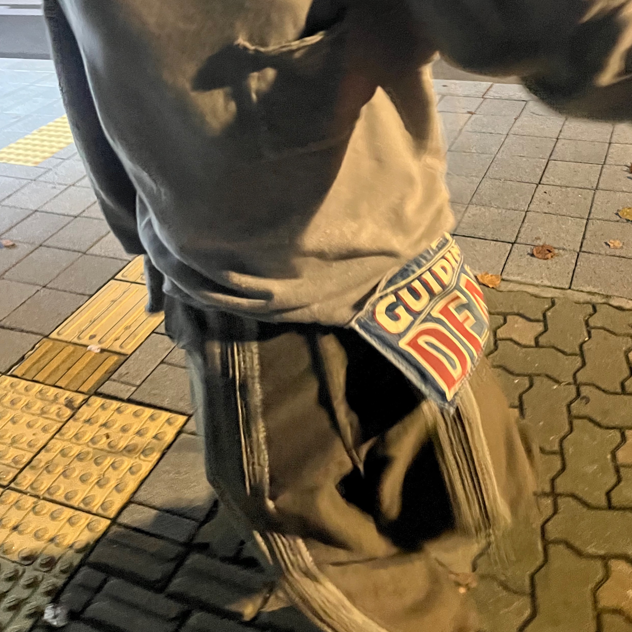 Kapital 12 oz. Yagasuri Jacquard Denim Chimayo Drizzler Jacket Khaki, Nanamica Cargo Pants Khaki 착용 스타일 - 5