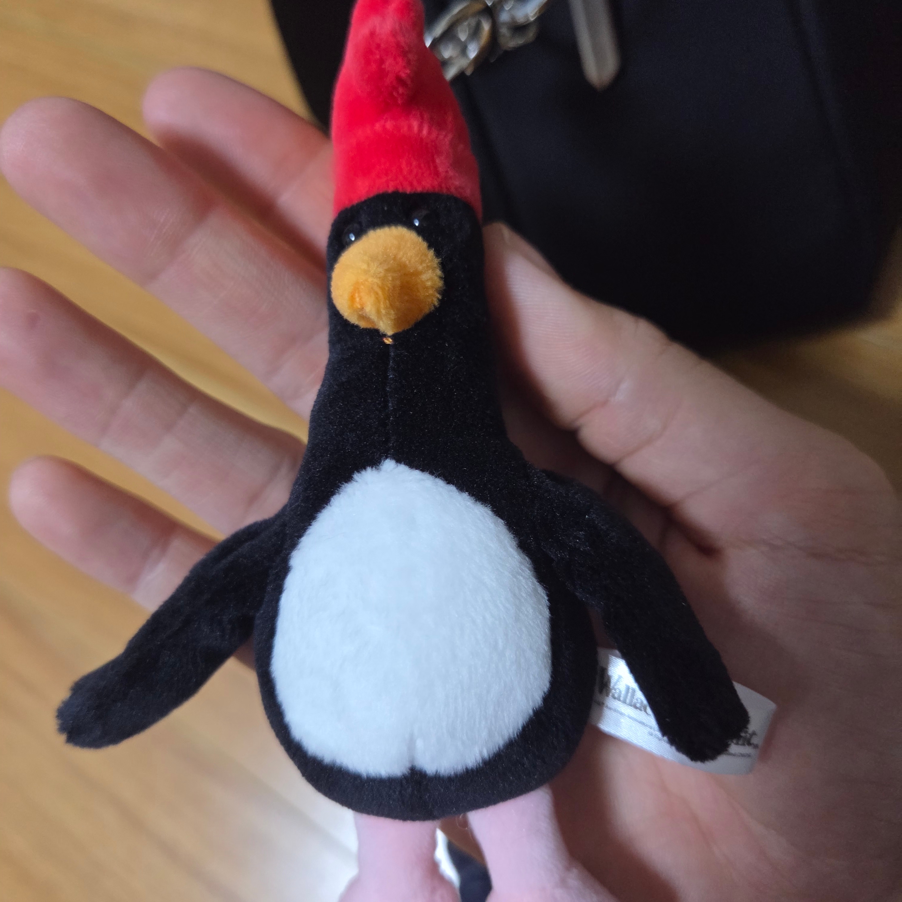 Dream C&C Feathers Mcgraw Keyring 10cm 착용 스타일 - 1