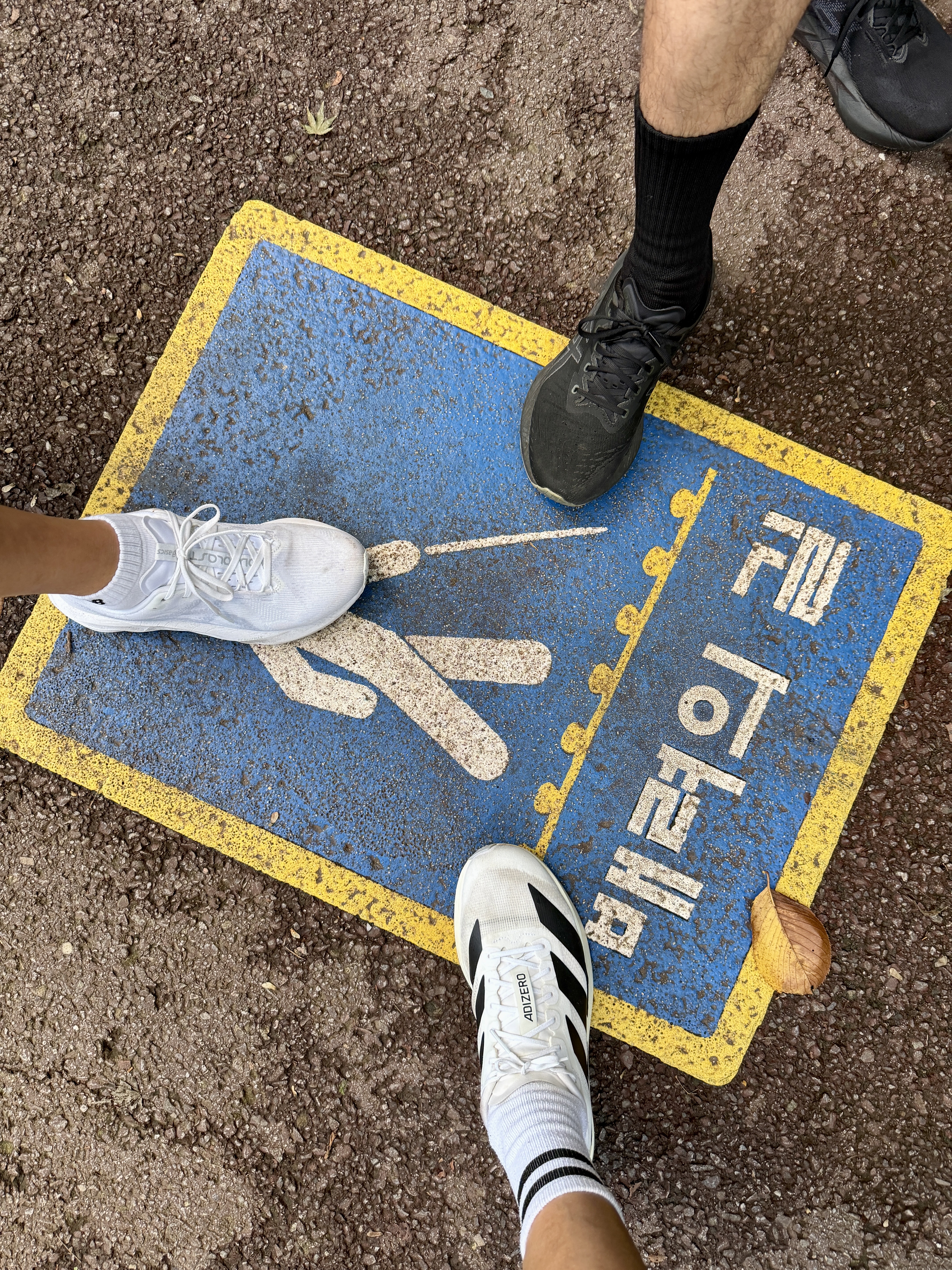 Adidas Adizero EVO SL Cloud White Core Black, Asics Novablast 5 White Piedmont Grey 착용 스타일 - 1