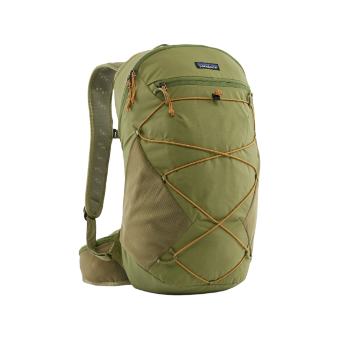 48905 Patagonia Terravia Pack 22L Buckhorn Green