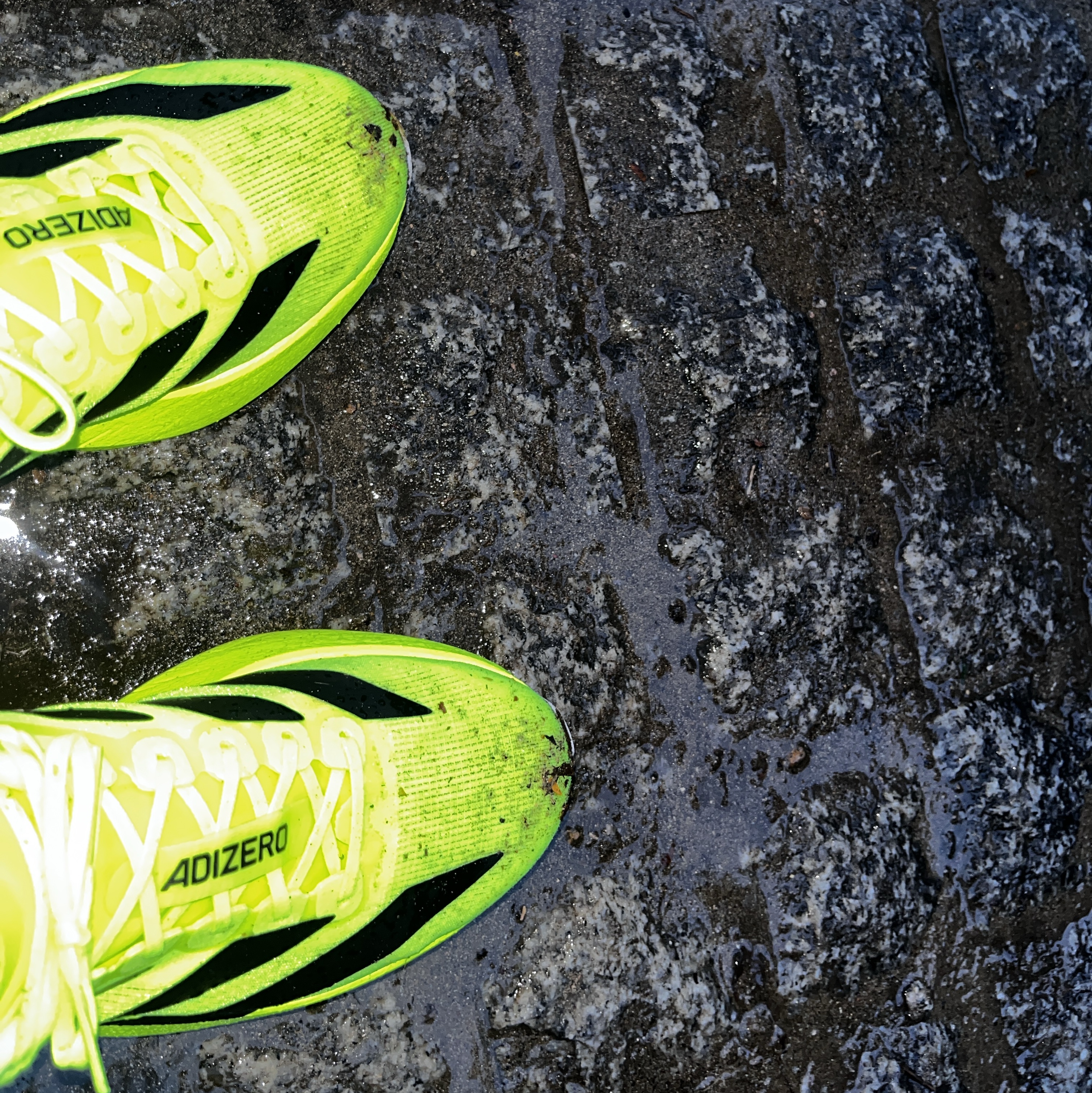 Adidas Adizero EVO SL Lucid Lemon Core Black, Adidas Adizero EVO SL Cloud White Core Black 착용 스타일 - 1
