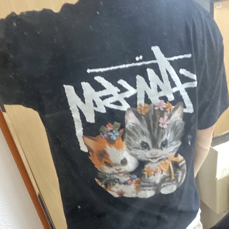 Stussy Kittens T-Shirt Black 착용 스타일