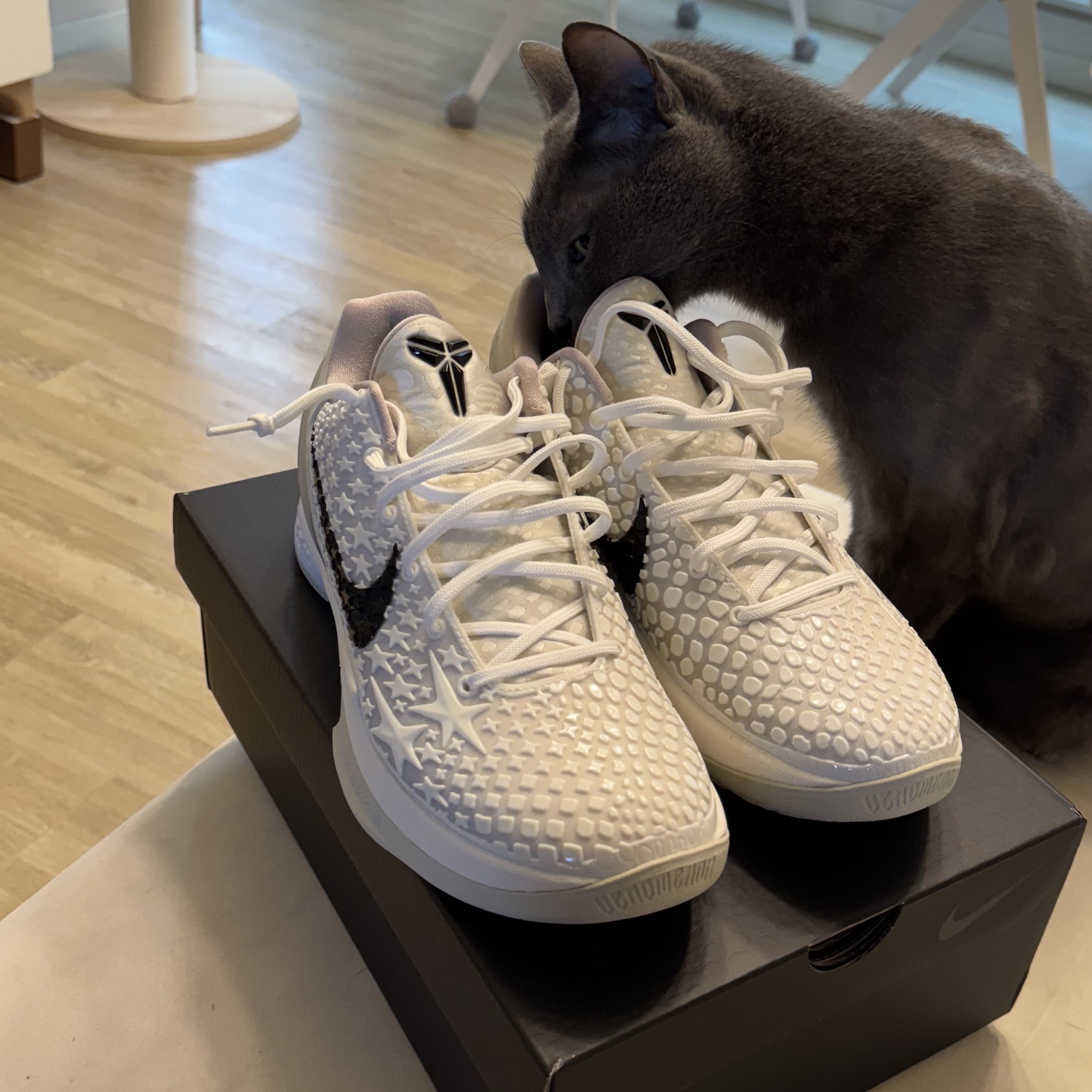 Nike Kobe 6 Protro Sail 착용 스타일 - 3