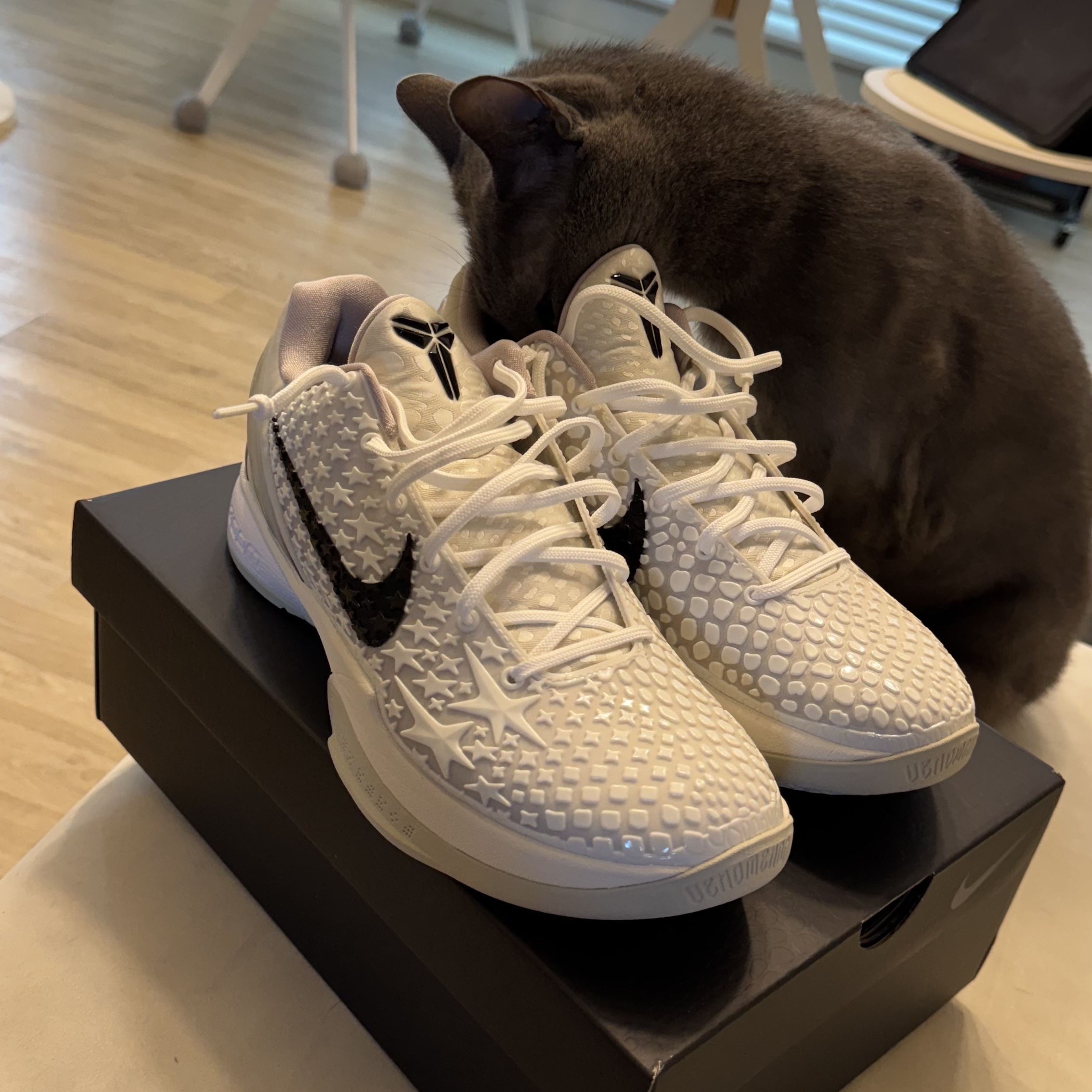 Nike Kobe 6 Protro Sail 착용 스타일 - 1