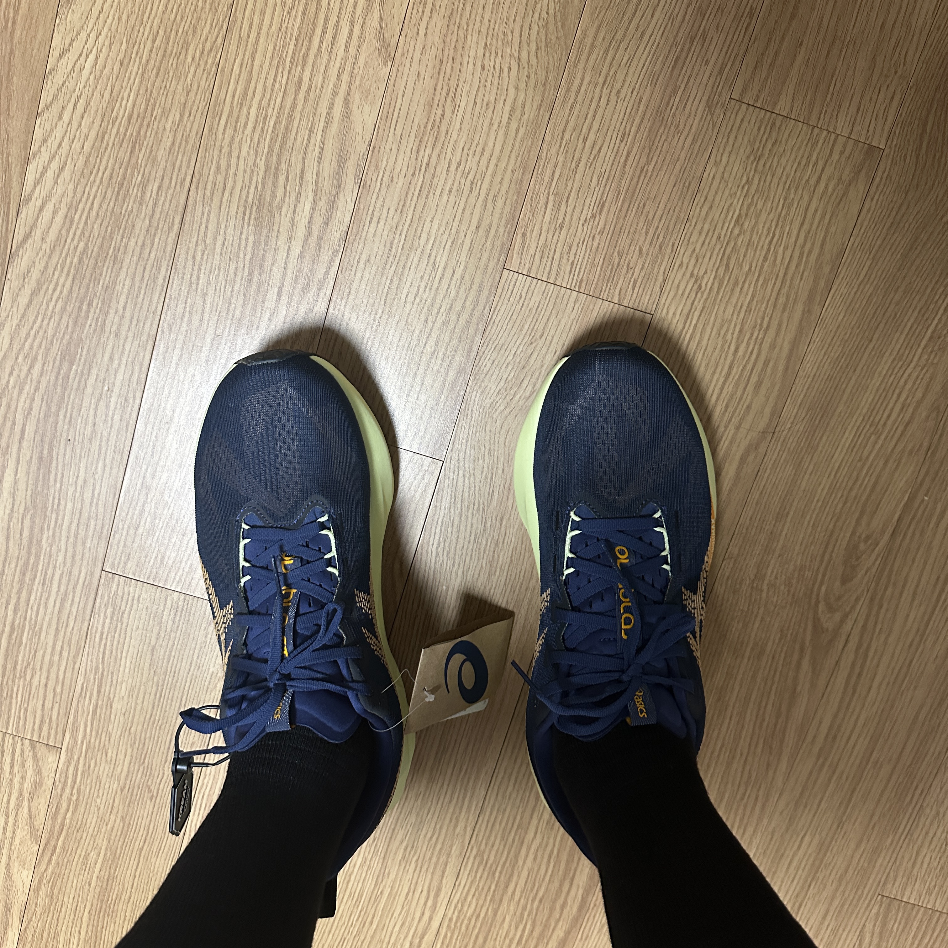 Asics Novablast 5 Indigo Blue Amber 착용 스타일