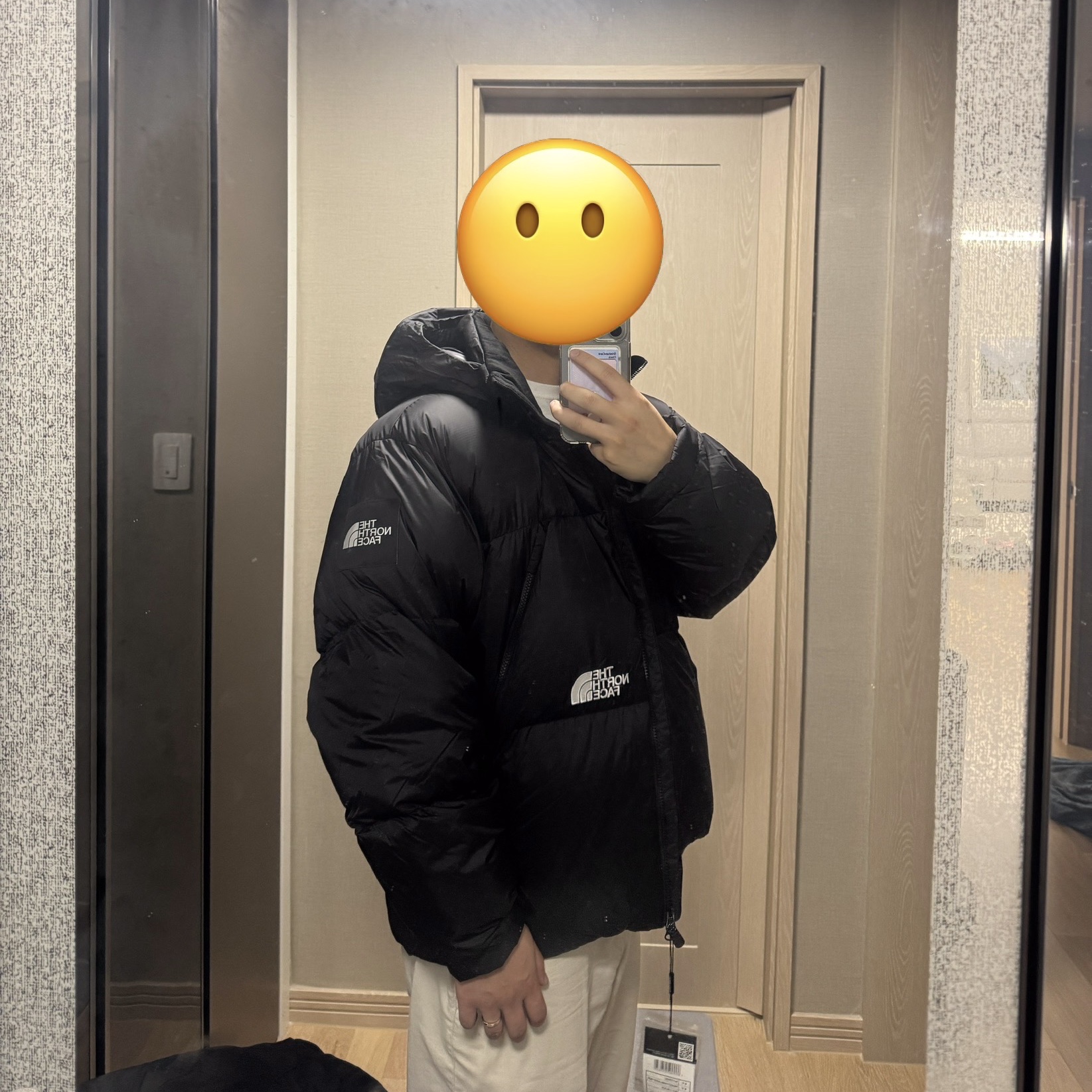 The North Face White Label Project Down Jacket RDS Black - 25FW 착용 스타일 - 2
