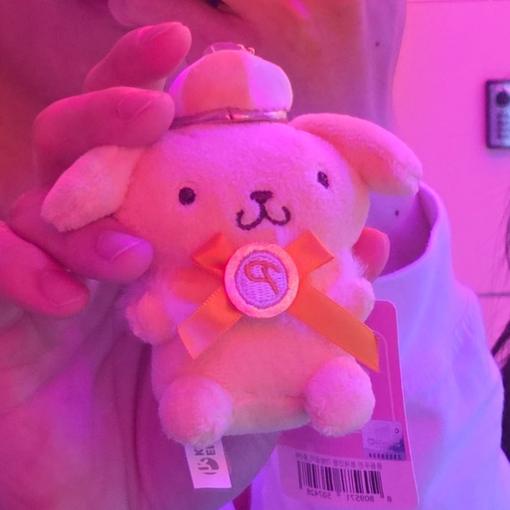 Sanrio Pompompurin Fuwashika Kids Plush Toy 착용 스타일