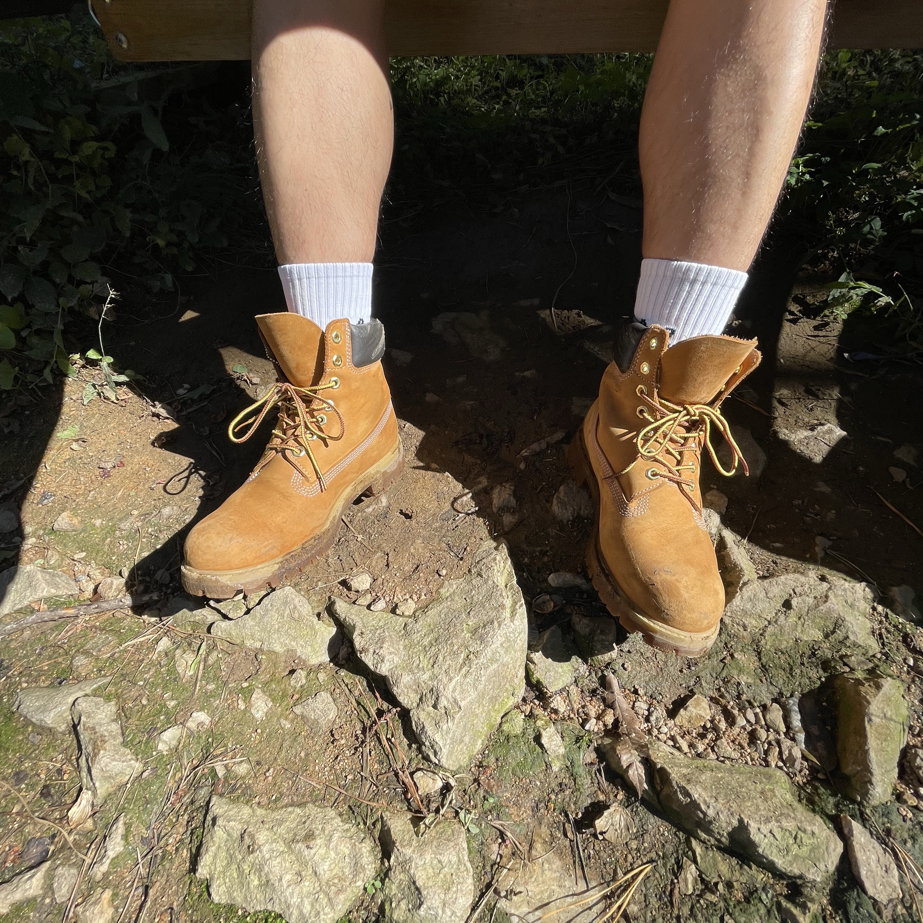 Timberland Premium 6 inch Waterproof Boot Wheat Nubuck - Medium 착용 스타일 - 2