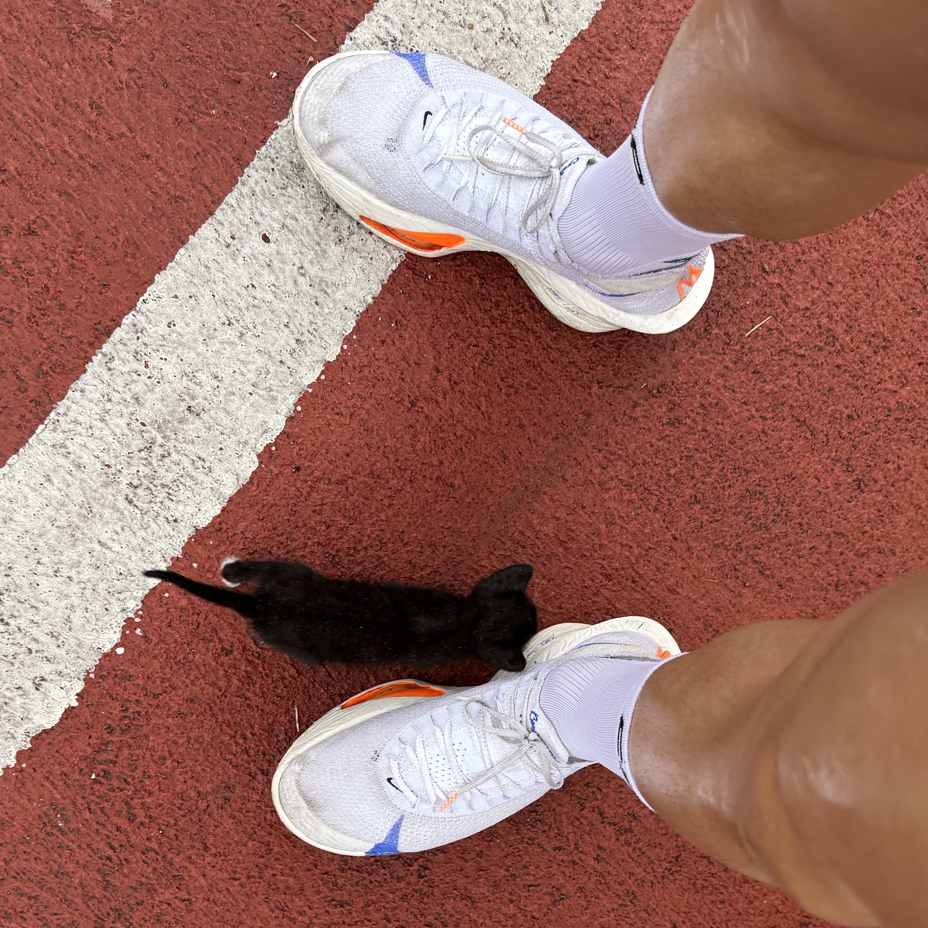 Nike Air Zoom Alphafly Next% 3 Blueprint, CEP Core Run Mid Cut Socks V5 Black 착용 스타일
