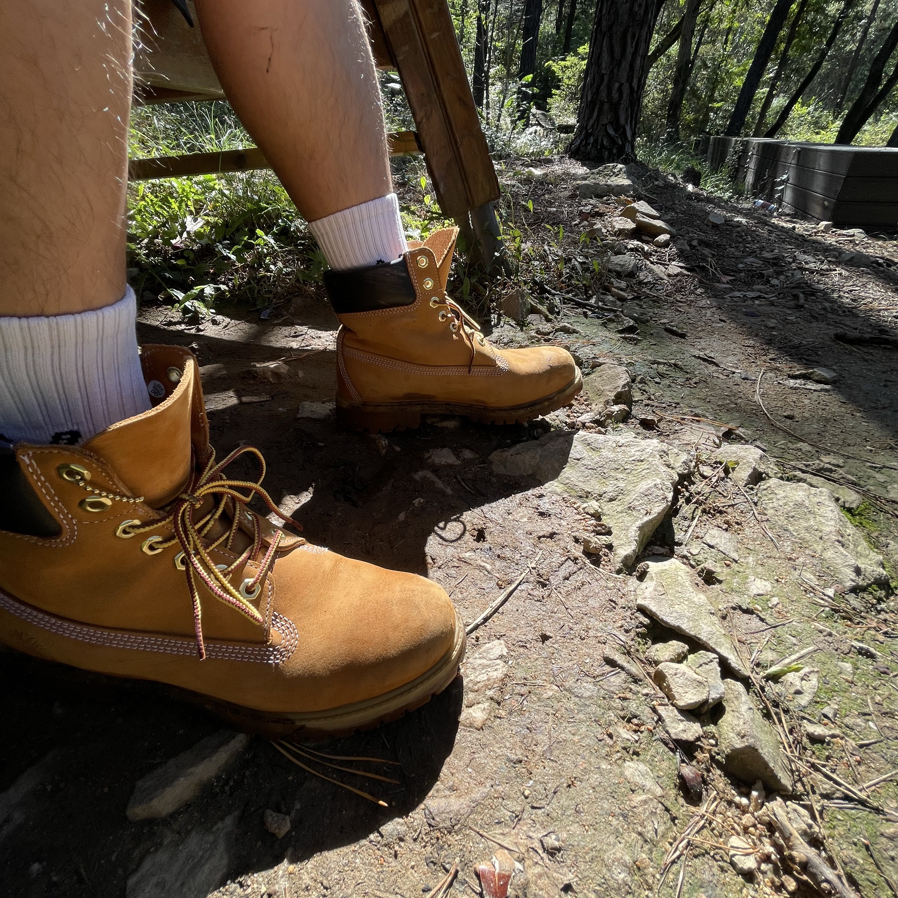 Timberland Premium 6 inch Waterproof Boot Wheat Nubuck - Medium 착용 스타일 - 1