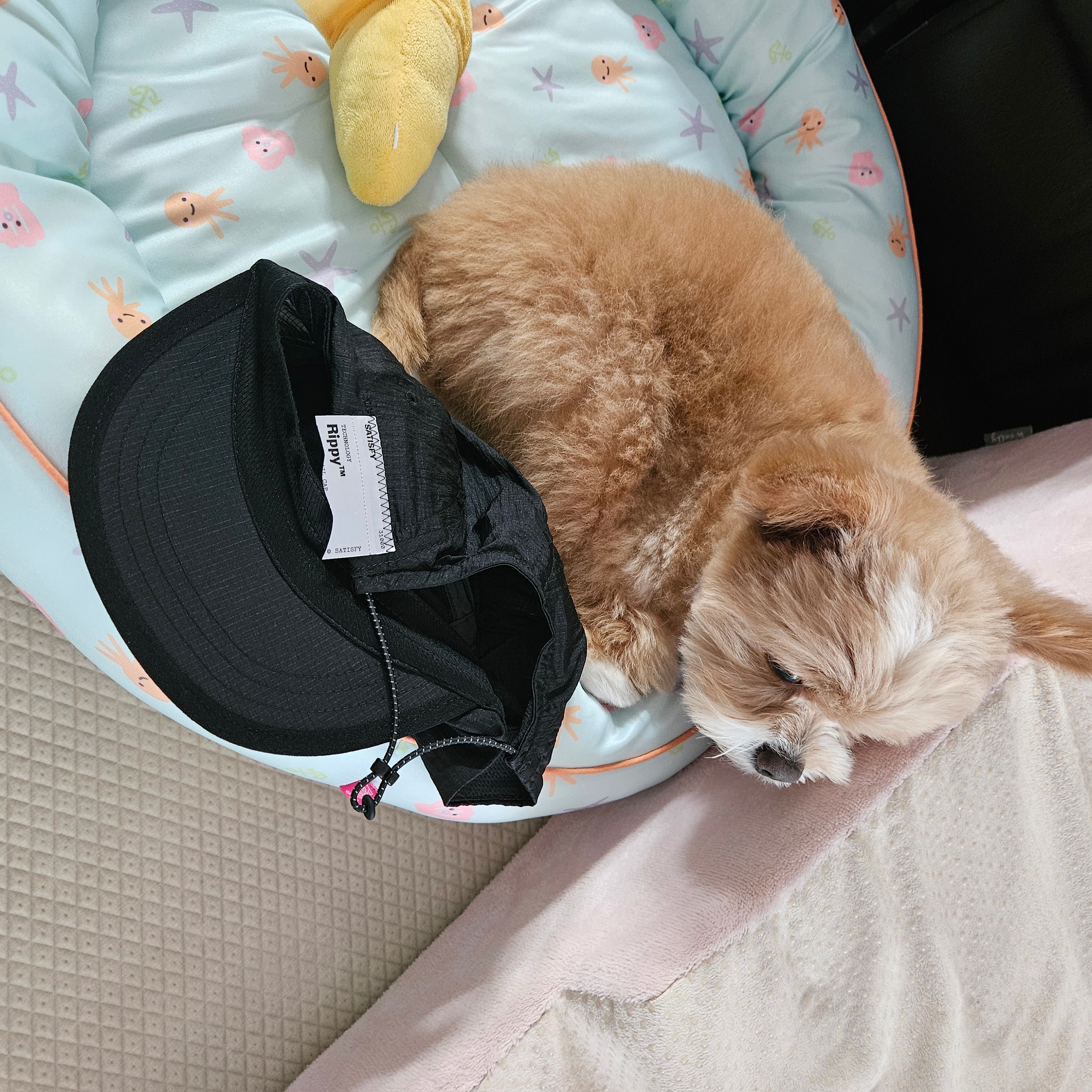 Satisfy Re-Possessed Rippy Trail Cap Black, [10% 적립] Garmin Forerunner 970 GPS Black 착용 스타일 - 2