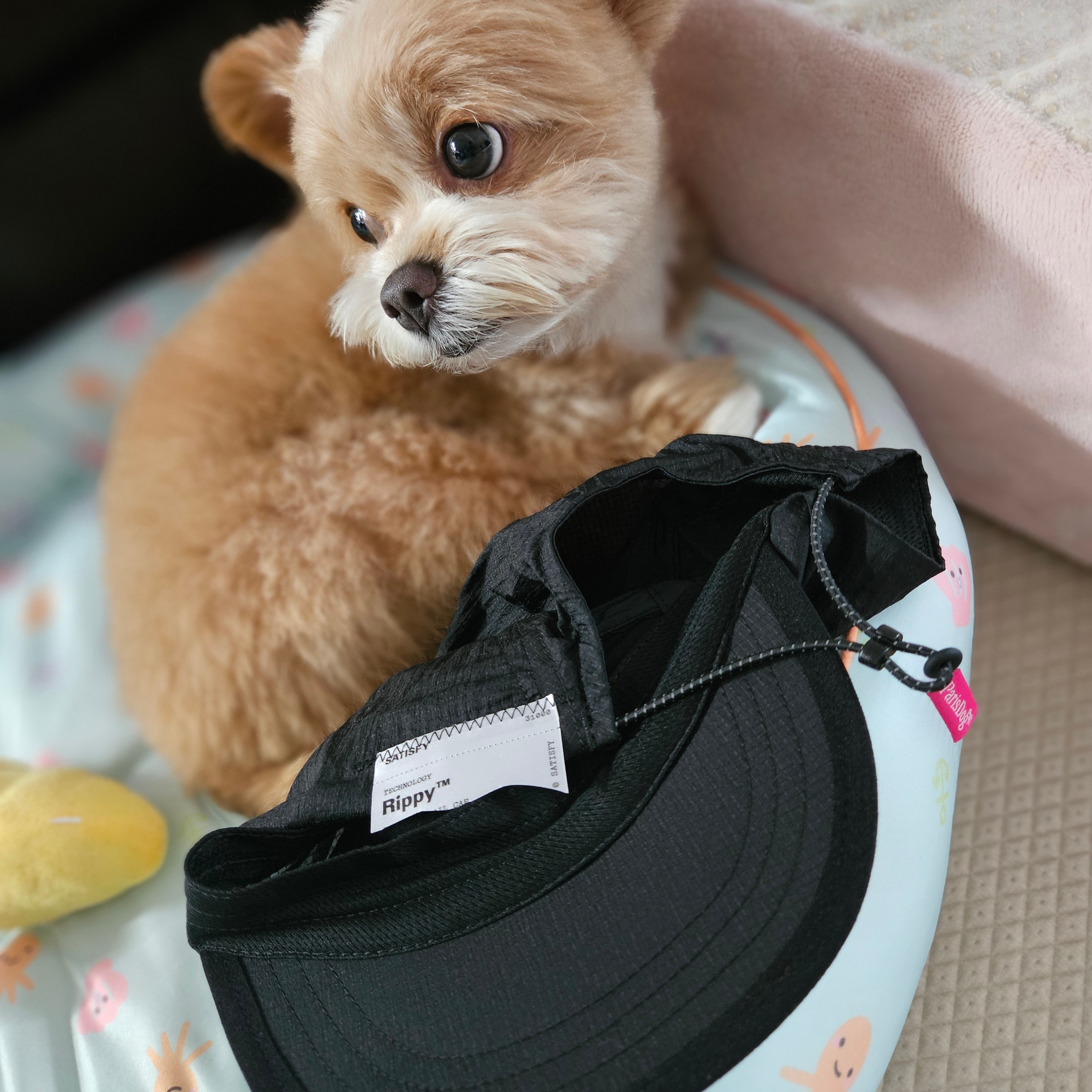 Satisfy Re-Possessed Rippy Trail Cap Black, [10% 적립] Garmin Forerunner 970 GPS Black 착용 스타일 - 1