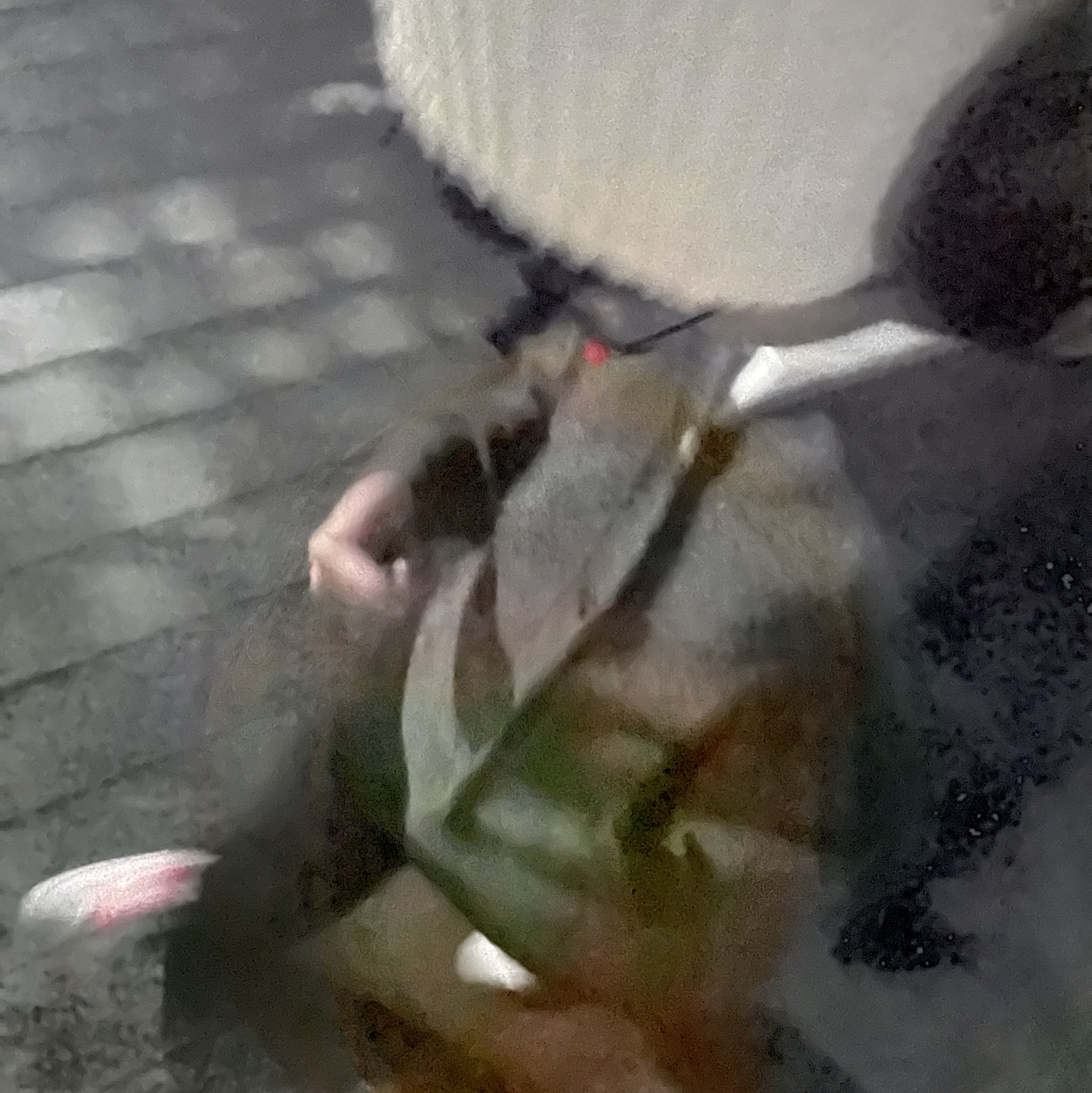 ์์
์ด๋ฏธ์ง