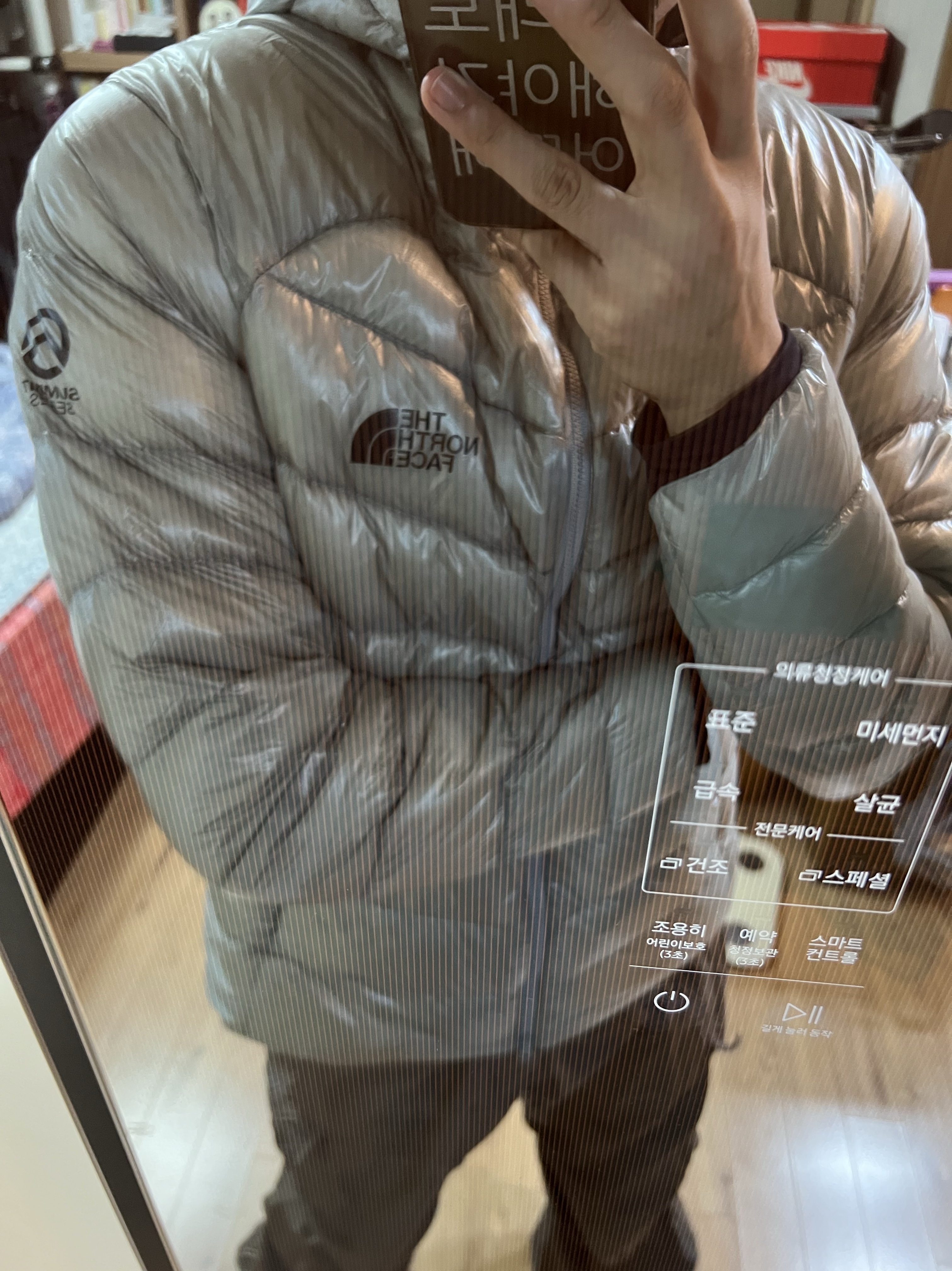 The North Face Summit Mattehorn RDS Down Jacket Light Gray 착용 스타일