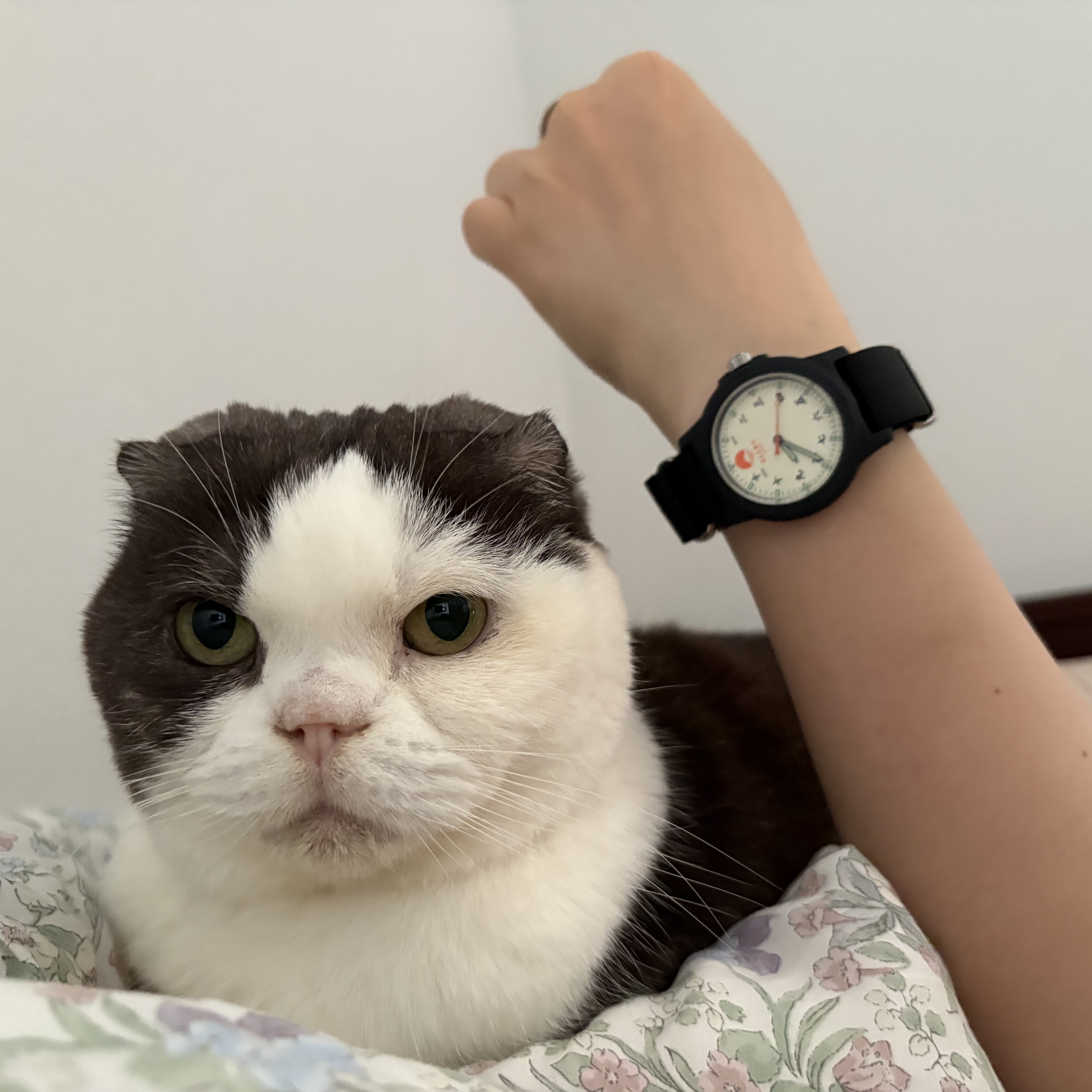 Beams Original Chinese Numerals Watch Black 착용 스타일 - 2