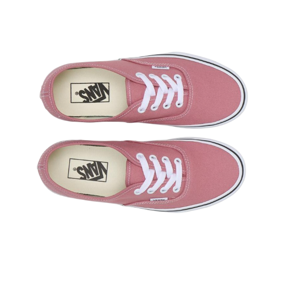 반스 어센틱 컬러 띠어리 핑크(Vans Authentic Color Theory Pink) - 2