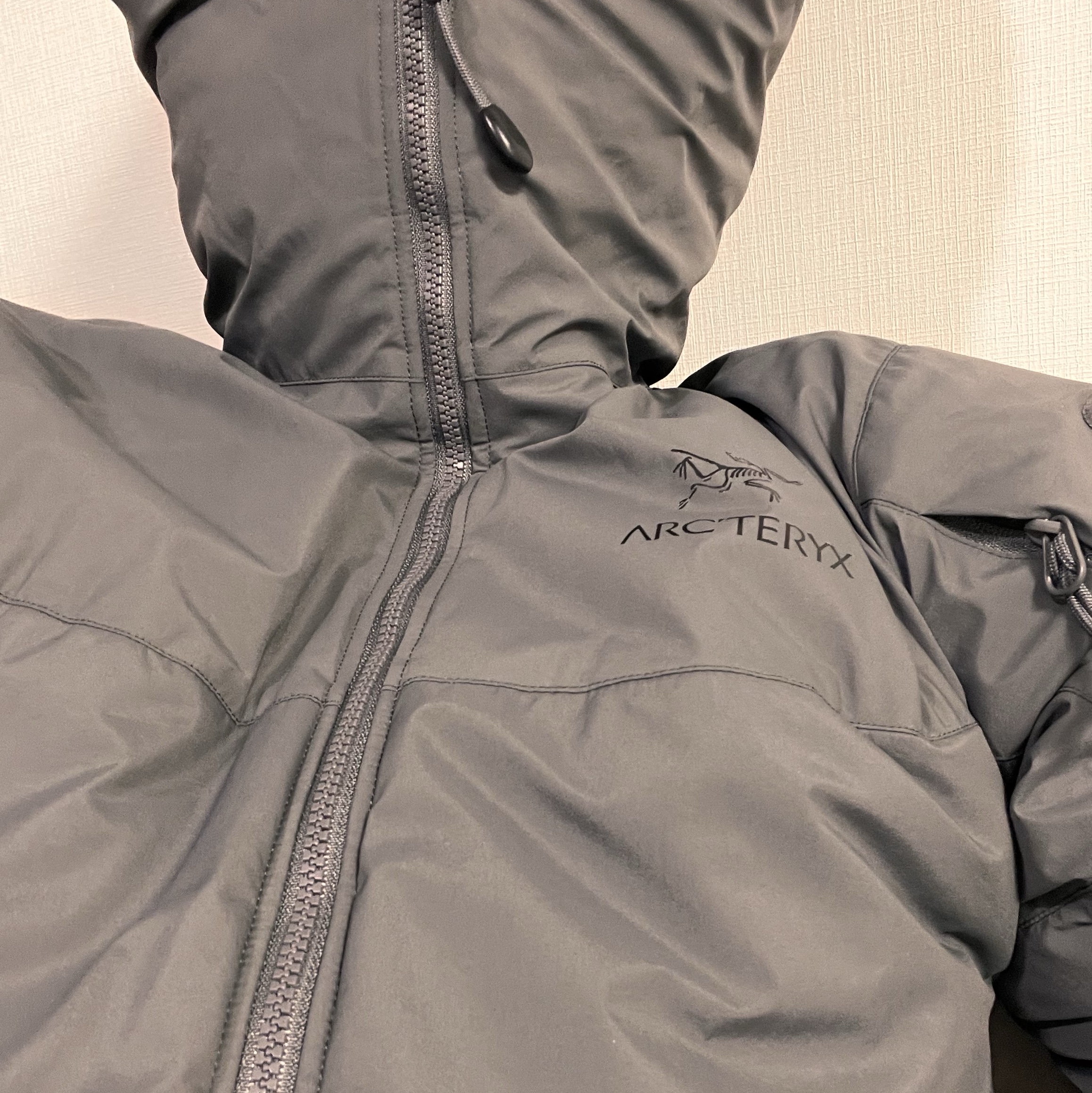 Arc'teryx LEAF Cold WX Hoody LT Gen 2.1 Wolf 착용 스타일