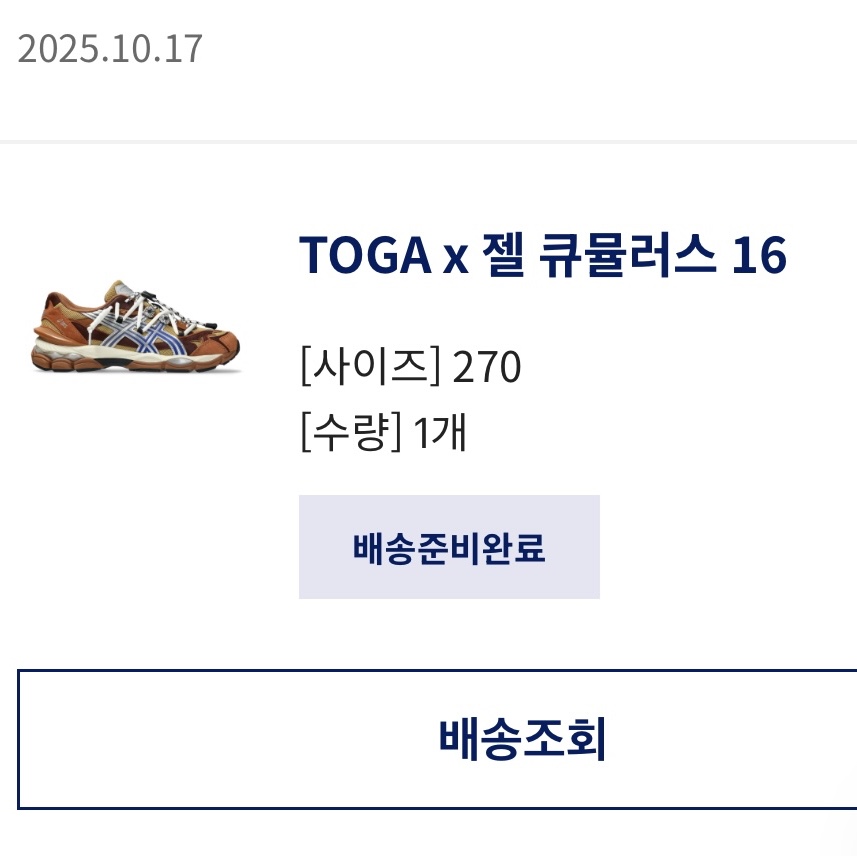 Asics x Toga Gel-Cumulus 16 TG Brown Blue Pure Silver 착용 스타일