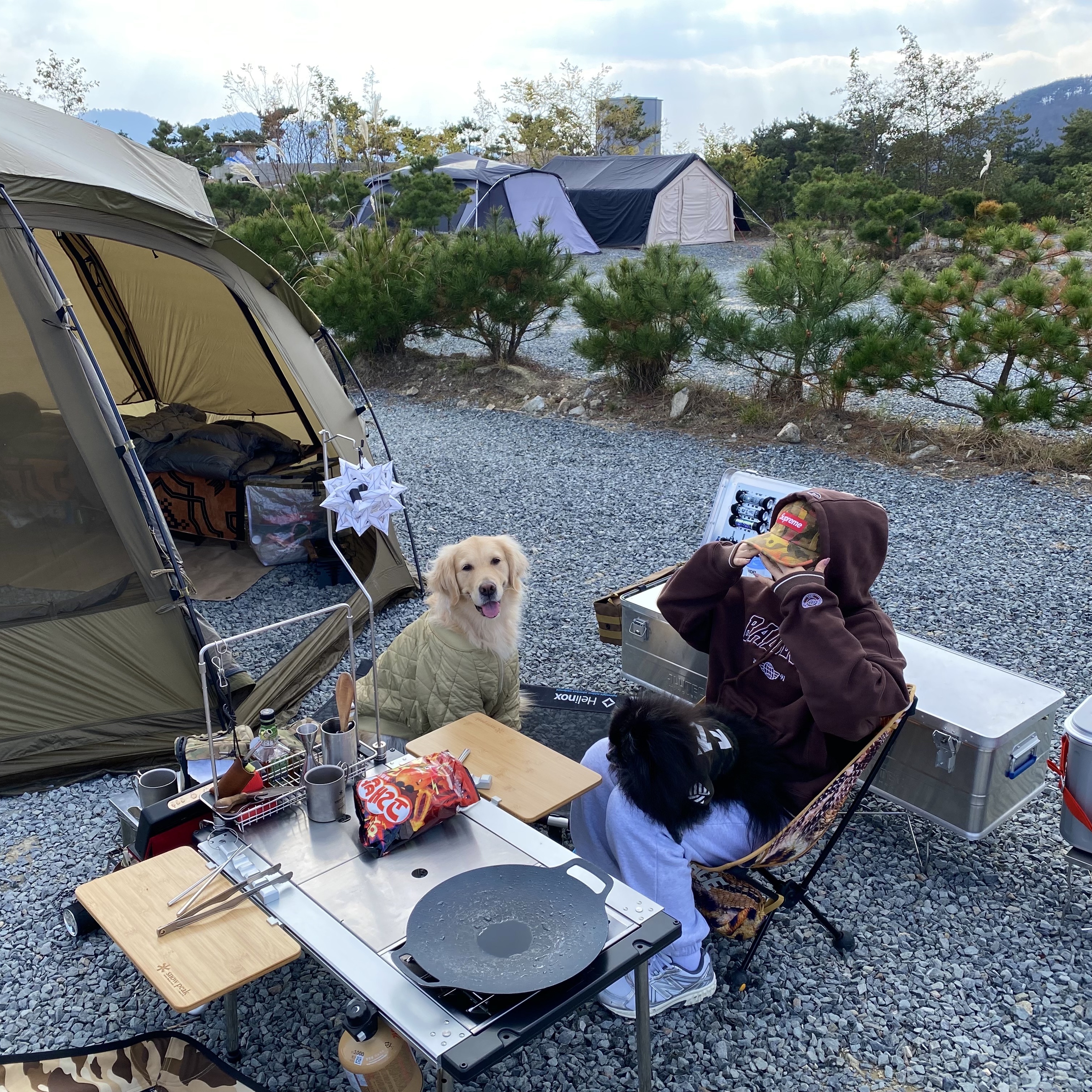 Supreme Washed Canvas Camp Cap Tan Camo - 24SS, Helinox Tactical Nona Dome 4.0 Coyote Tan 착용 스타일
