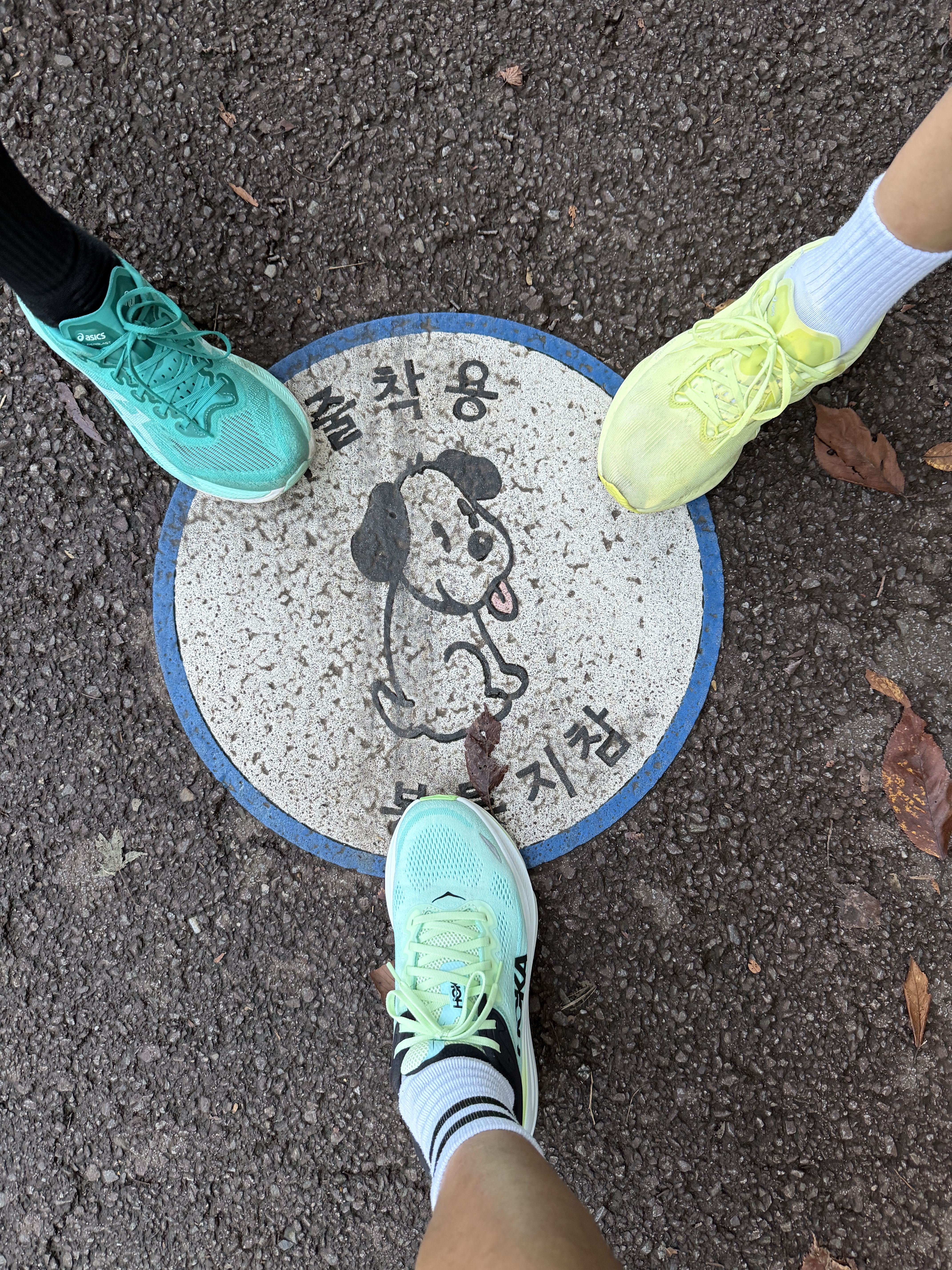 Asics Superblast 2 Wave Teal Illuminate Mint, Asics Novablast 5 Lite Show Huddle Yellow 착용 스타일 - 1