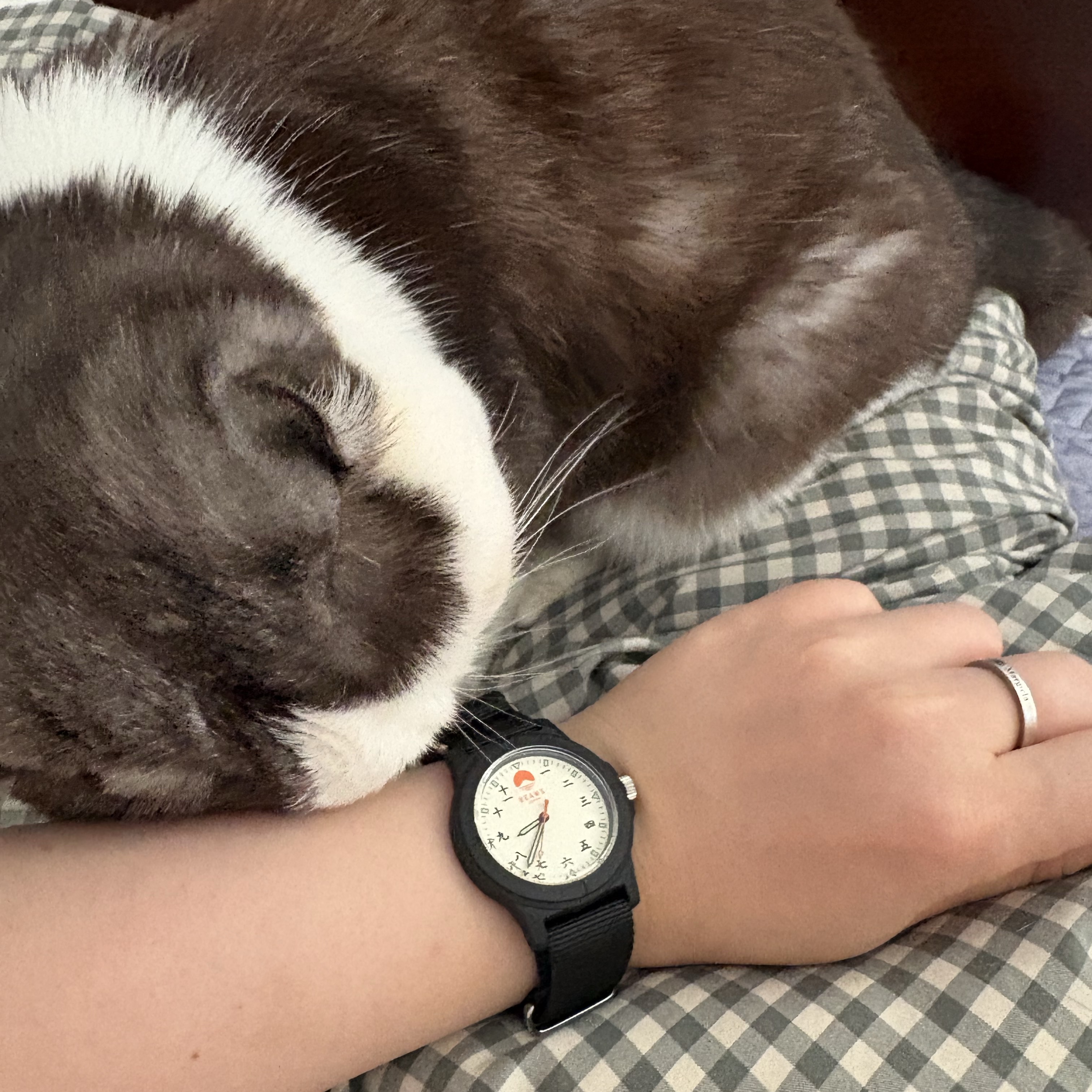 Beams Original Chinese Numerals Watch Black 착용 스타일 - 1