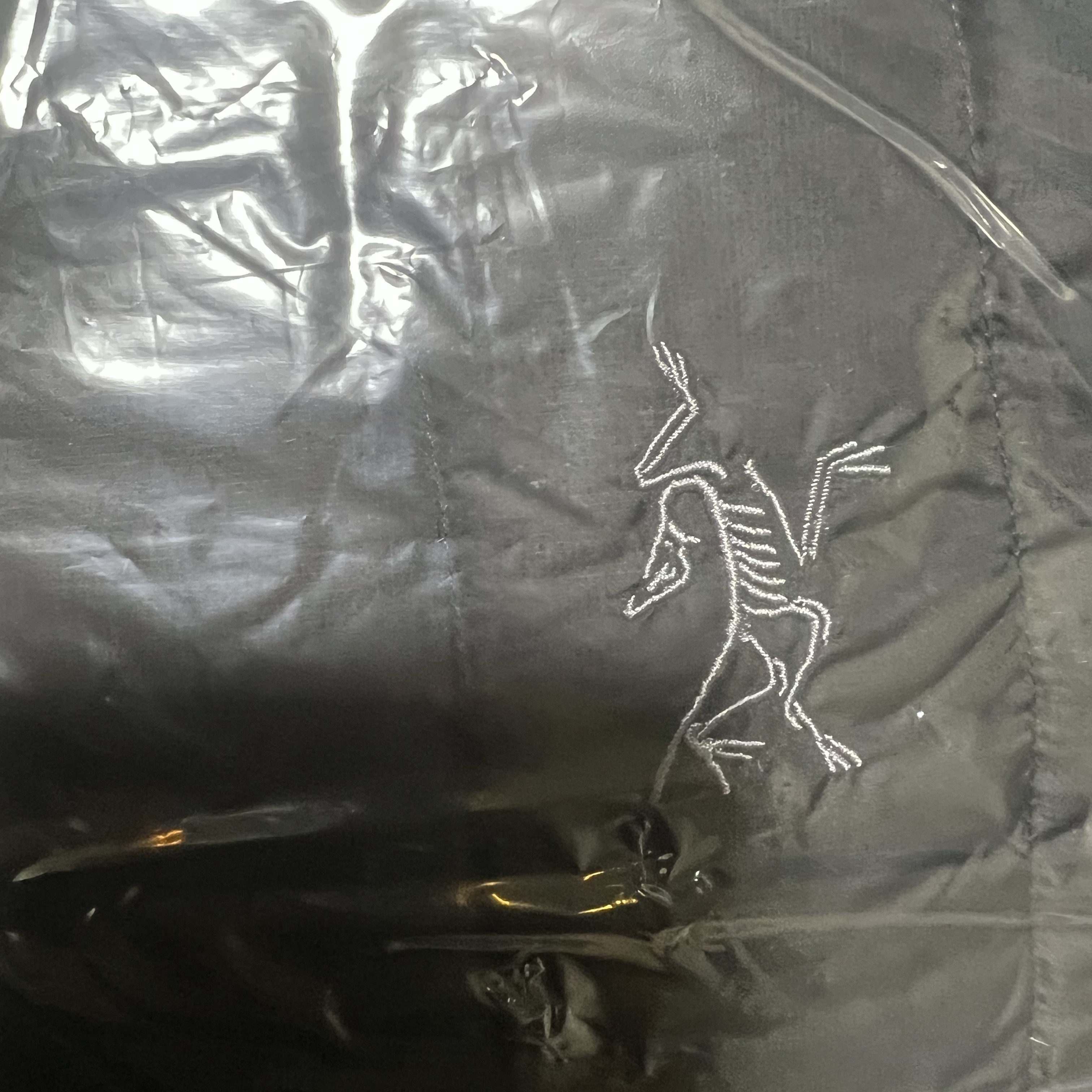 Arc'teryx Cerium Hoody Black 착용 스타일