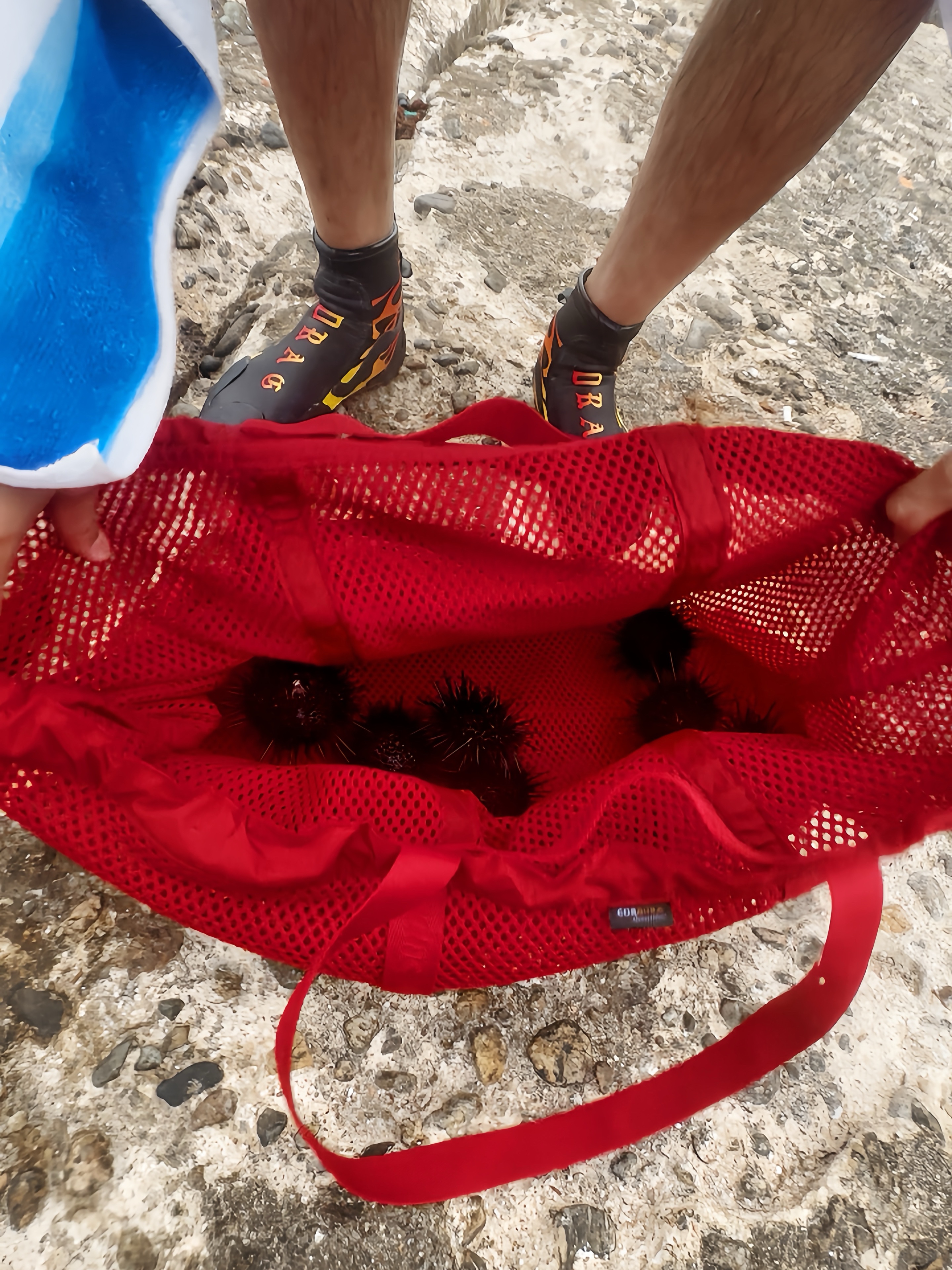 Supreme Mesh Tote Bag Red - 25SS 착용 스타일