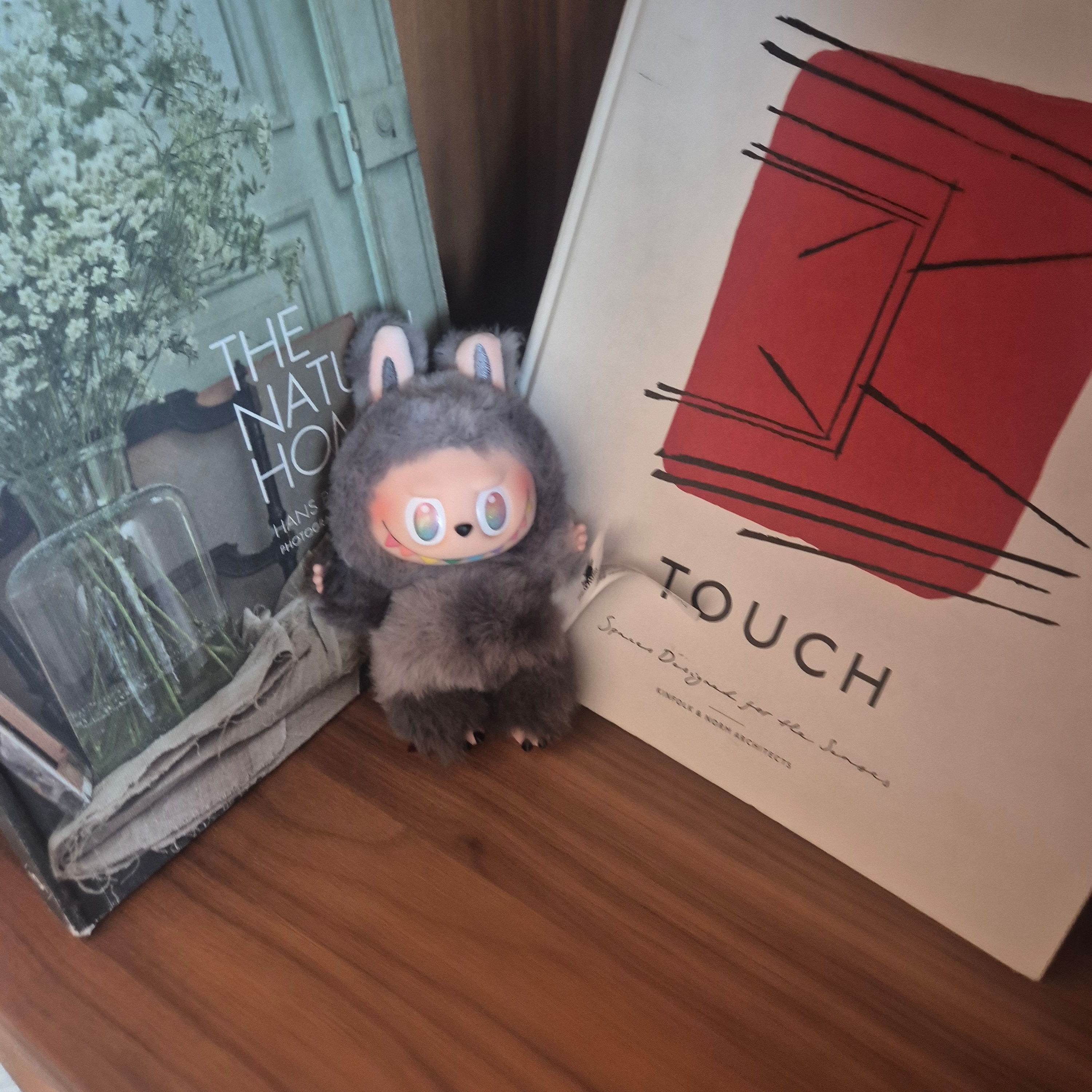 Pop Mart Labubu The Monsters Highlight Series ID Keyring (Opened Case) 착용 스타일