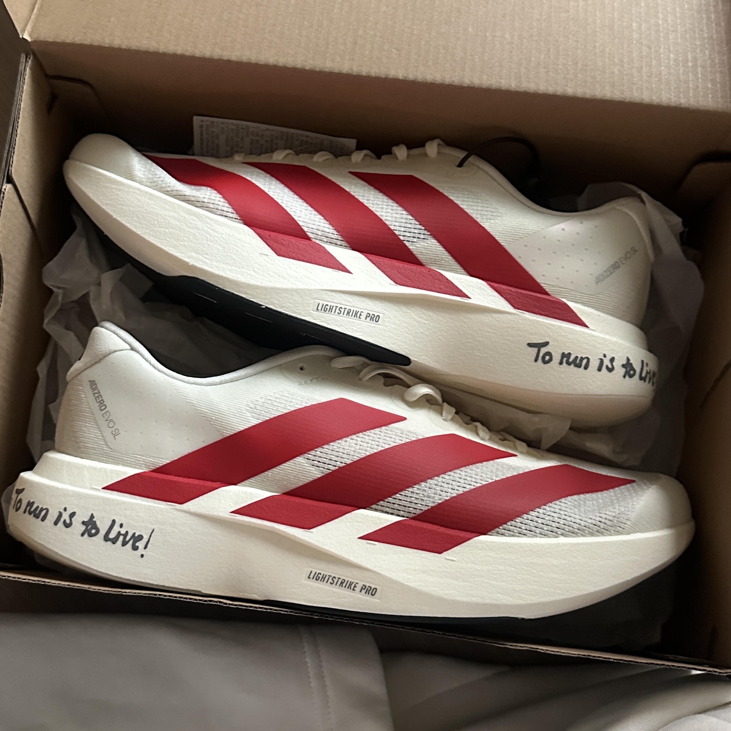 Adidas Adizero EVO SL Off White Better Scarlet 착용 스타일