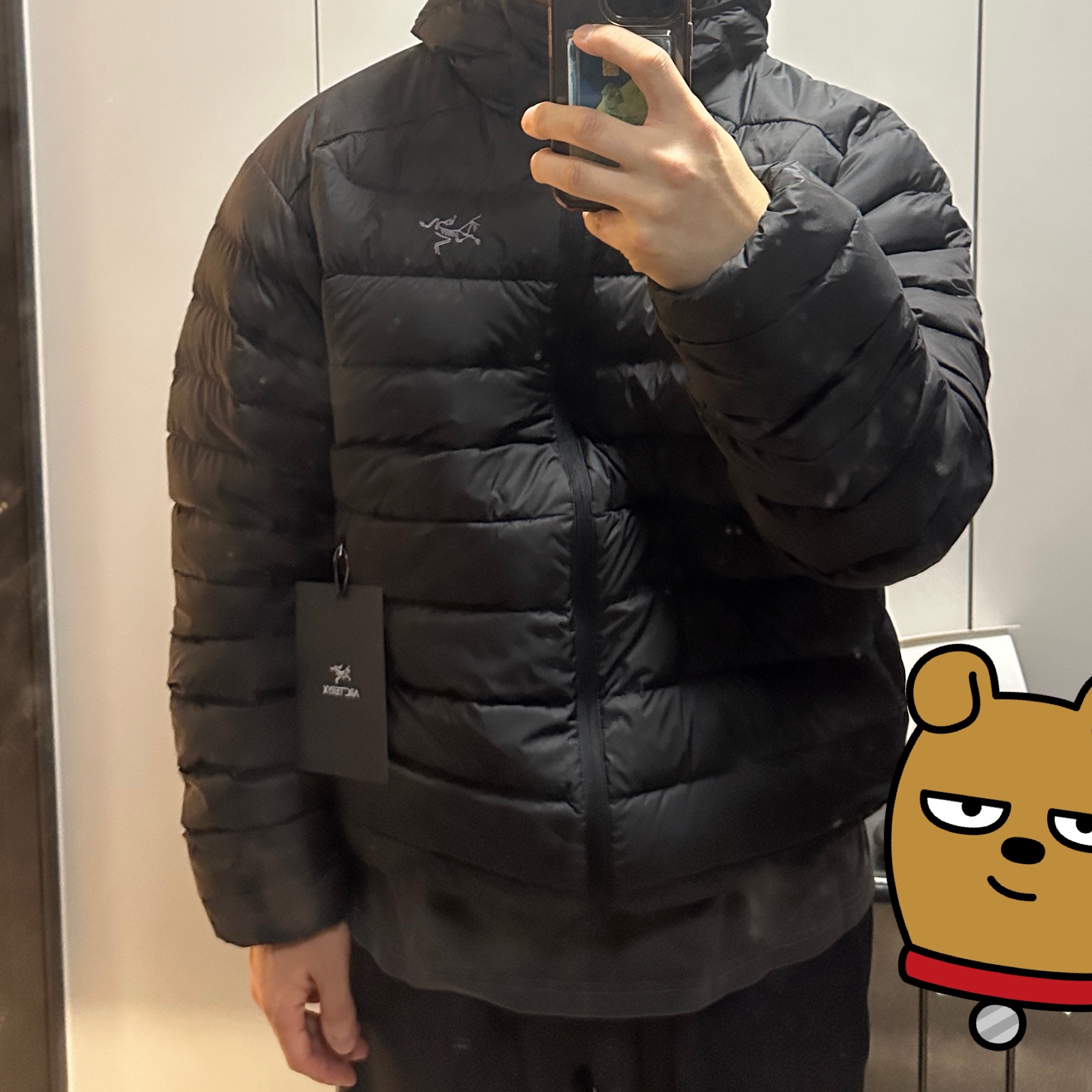 Arc'teryx Cerium Hoody Black 착용 스타일