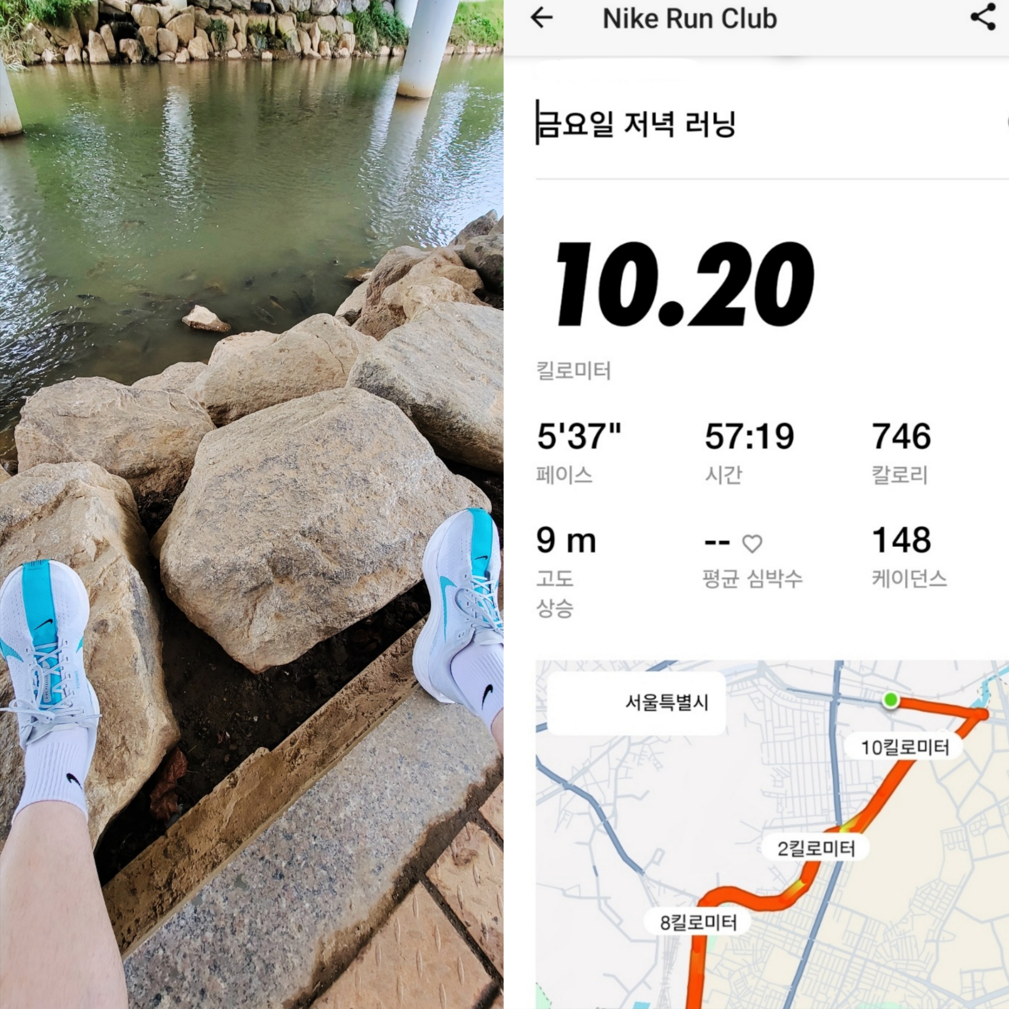 Nike Pegasus Plus Pure Platinum White, Nike Everyday Cushioned Training Ankle Socks White (6 Pack/Korean Ver.) 착용 스타일