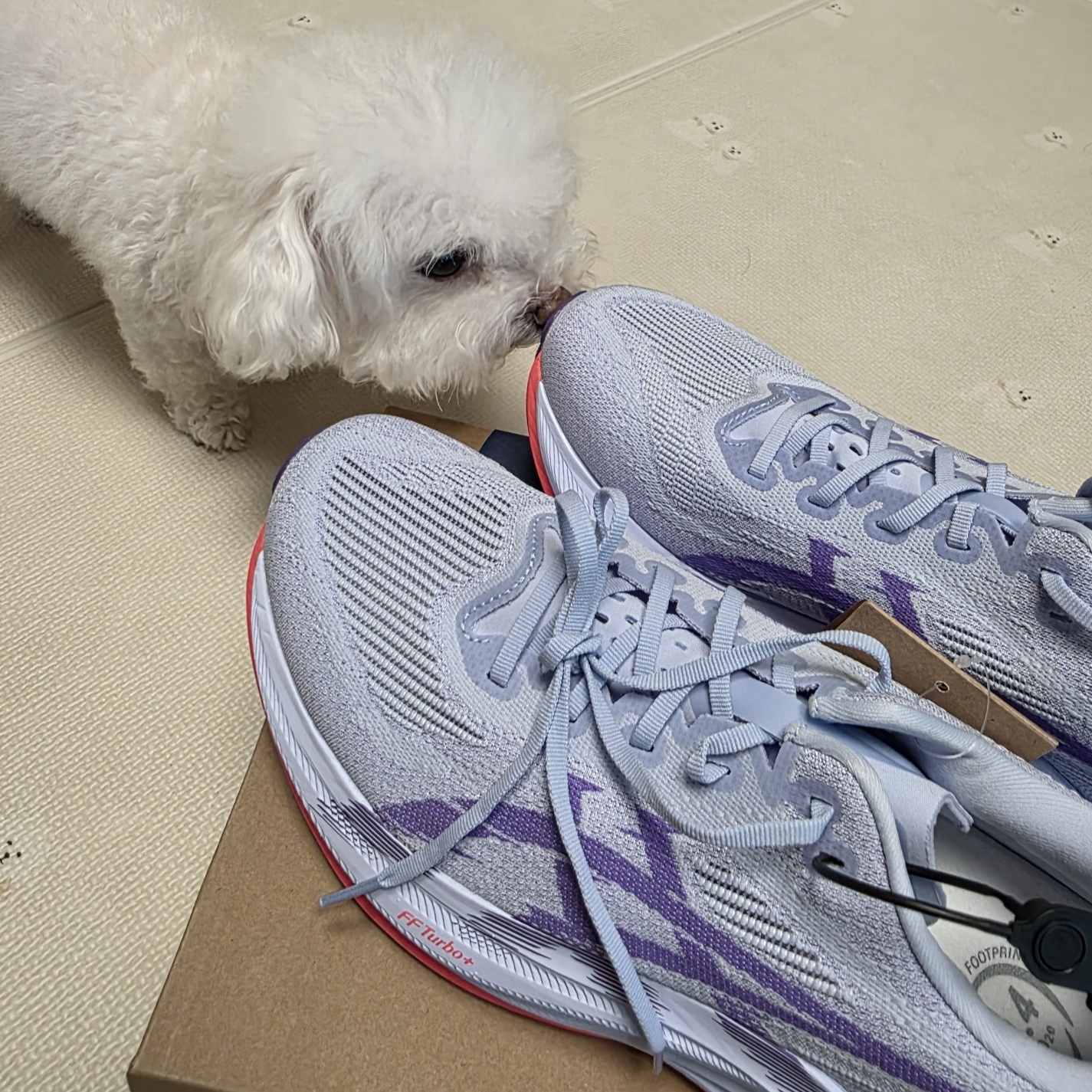 Asics Superblast 2 Blue Fade Edo Purple 착용 스타일