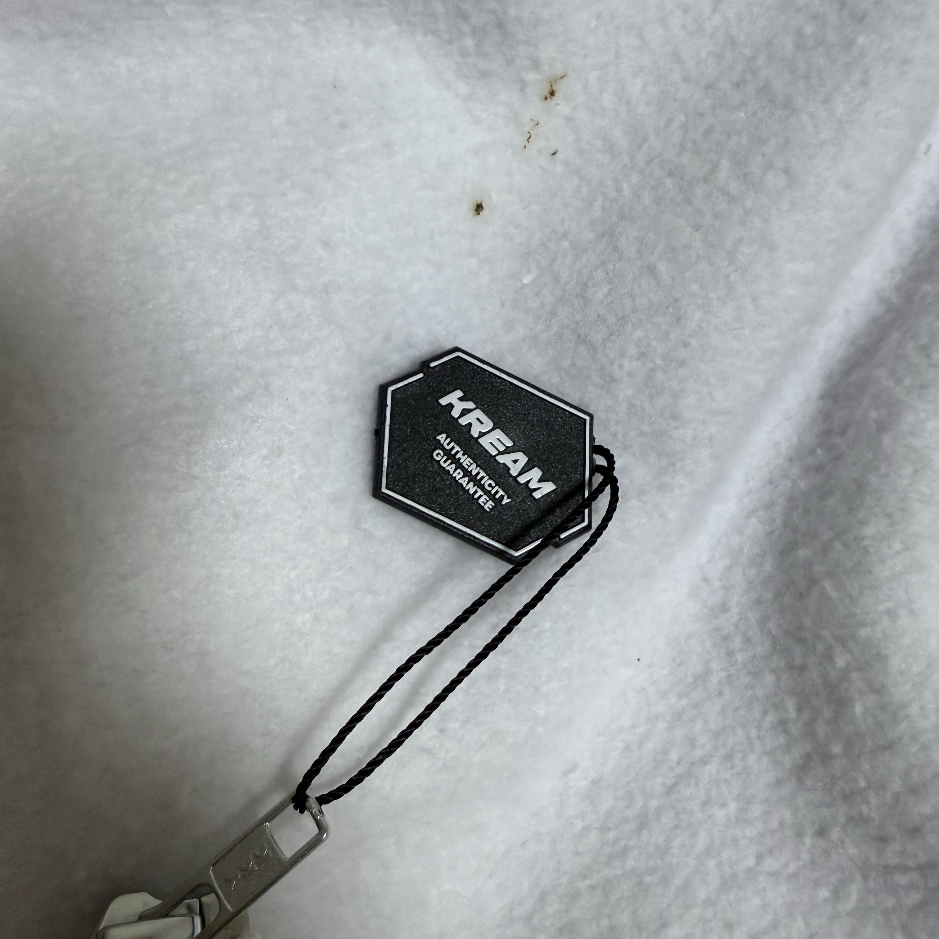 Supreme Collegiate Applique Zip Up Hooded Sweatshirt Ash Grey - 25FW 착용 스타일