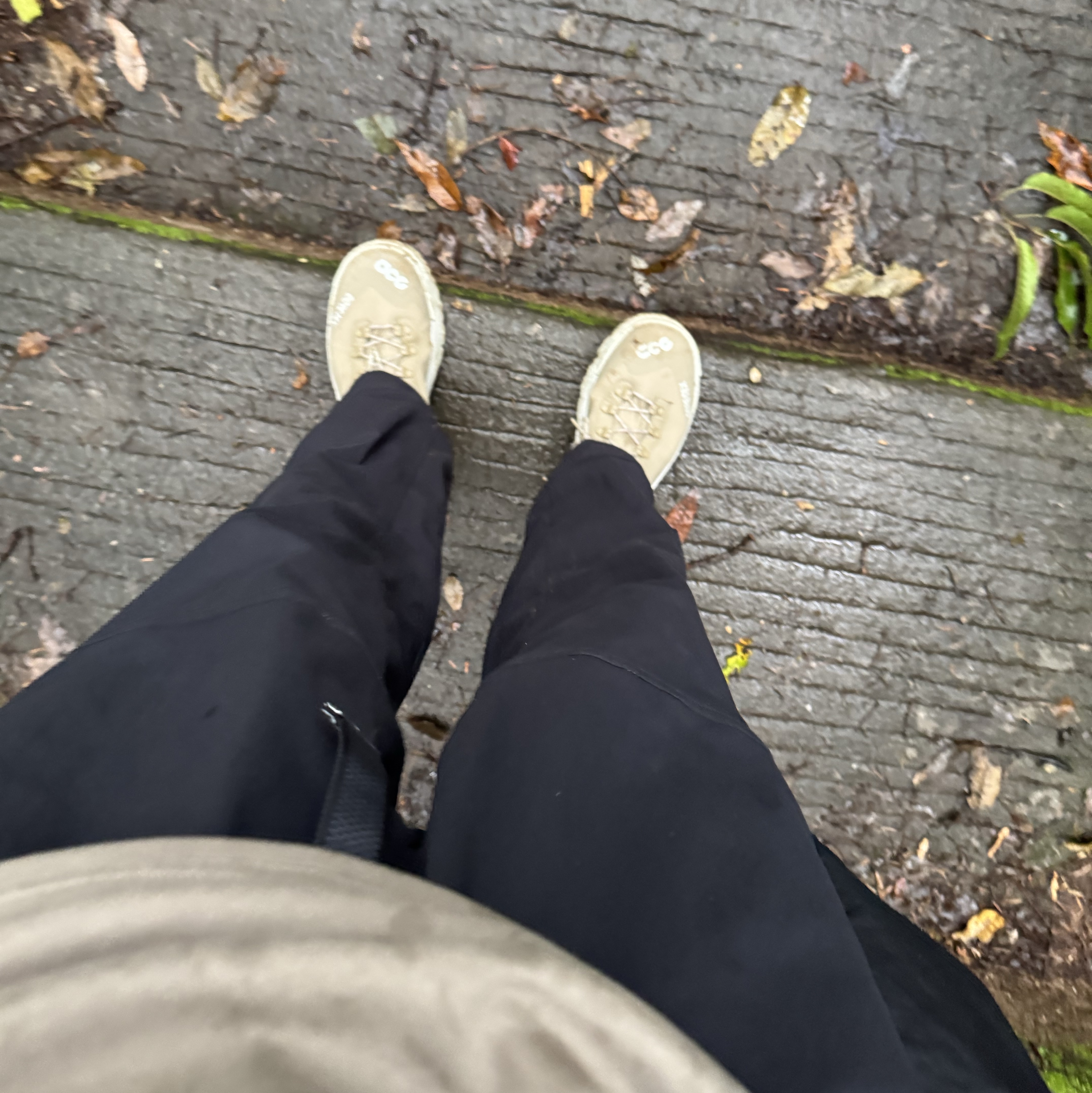 Nike ACG Storm-Fit ADV Cascade Rains Full Zip Jacket Black - Asia, Nike ACG Smith Summit Cargo Pants Black Anthracite - Asia 착용 스타일