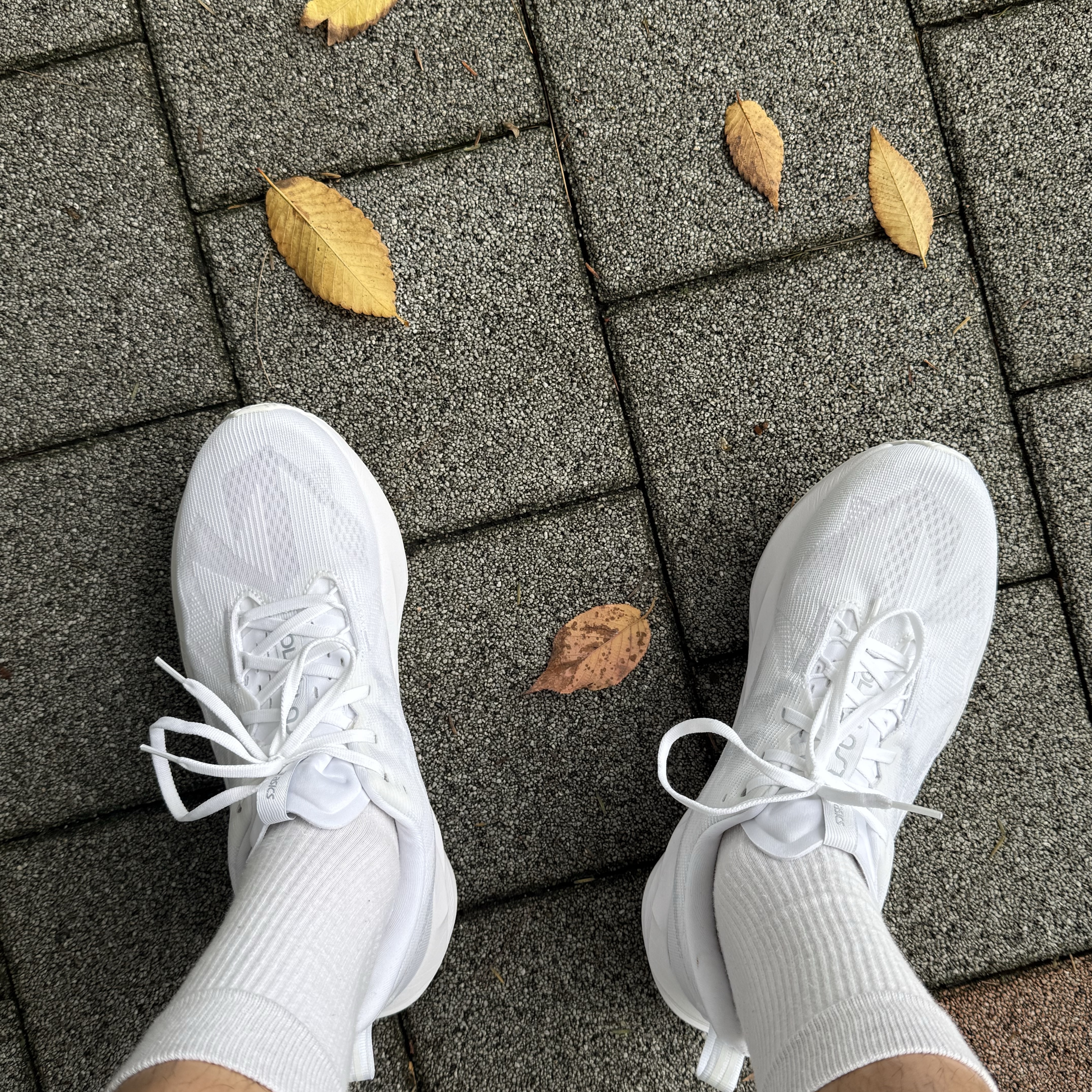 Asics Novablast 5 White Piedmont Grey 착용 스타일