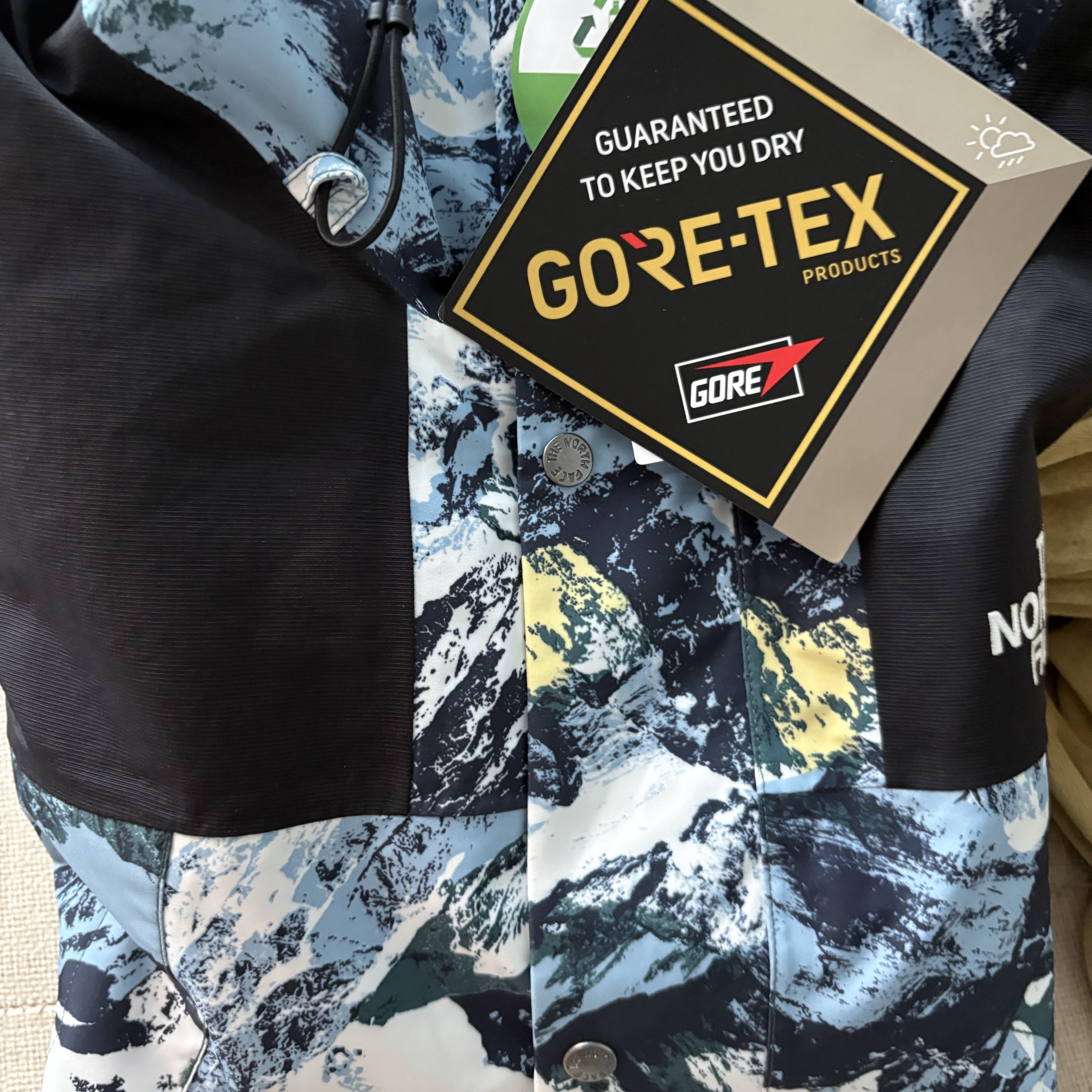 The North Face Novelty GTX Mountain Jacket Cloud 착용 스타일