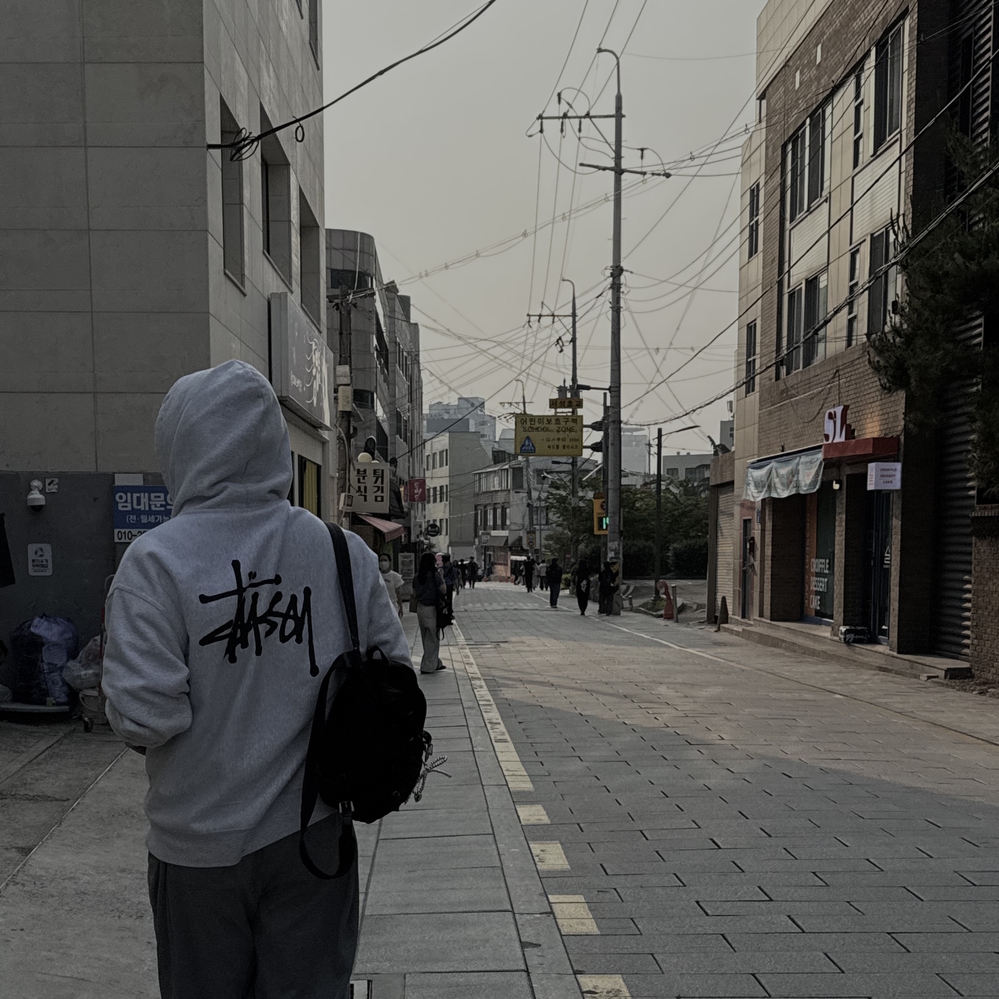 Stussy Basic Stussy Zip Hoodie Ash Heather 착용 스타일