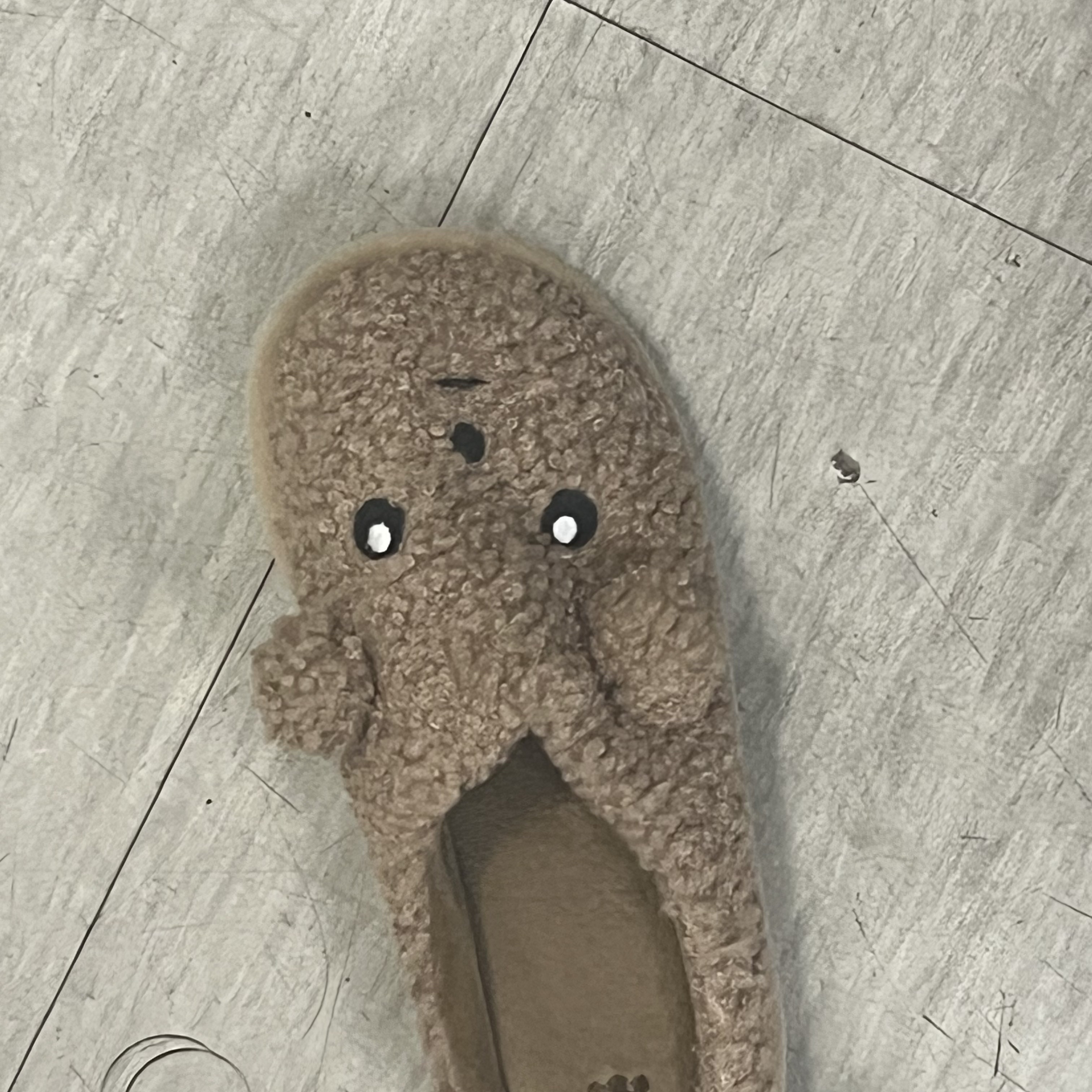Maru is a Puppy Fur Slippers 착용 스타일