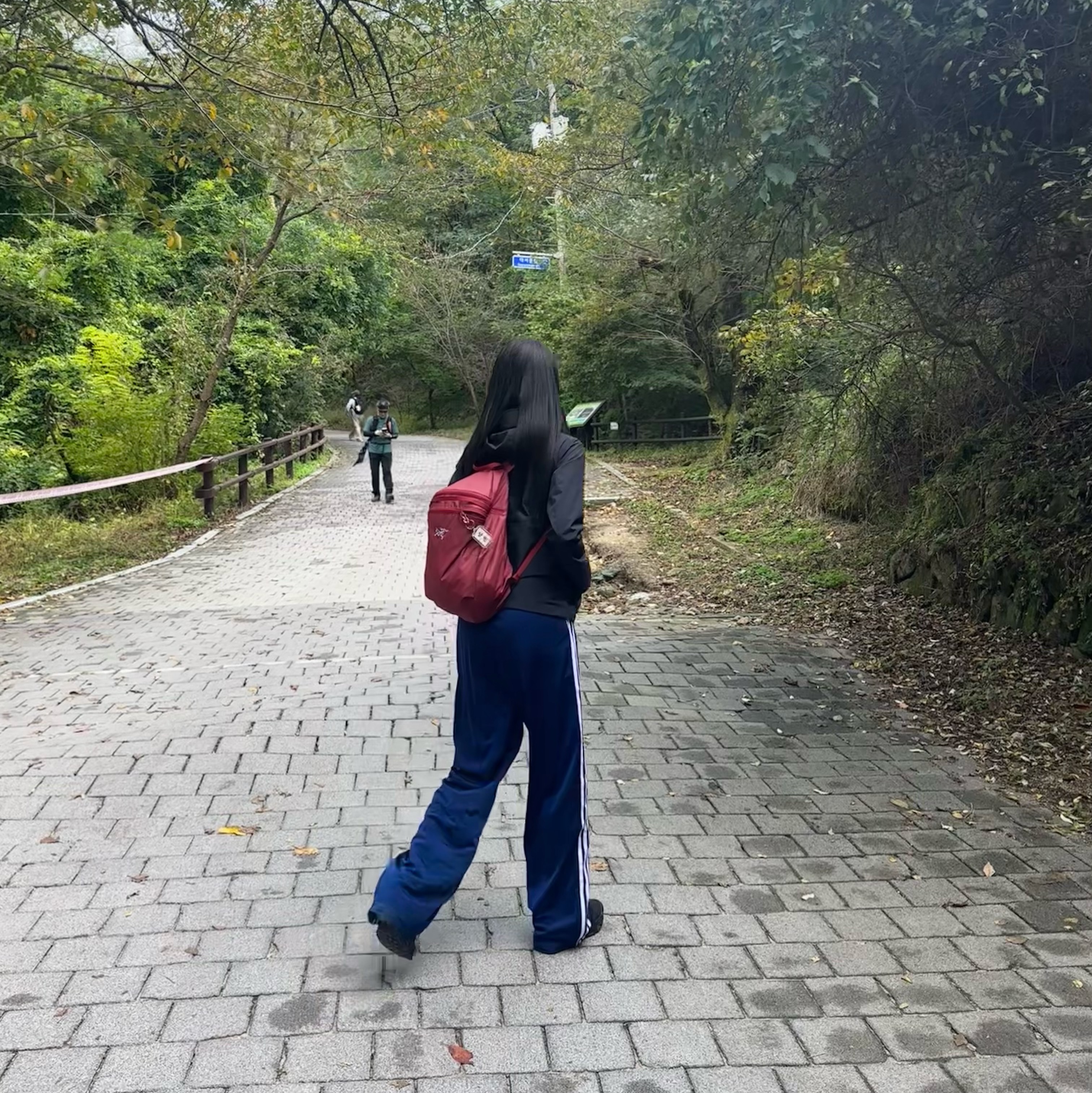 (W) Adidas Originals Firebird Loose Track Pants Dark Blue - US Sizing, Arc'teryx Heliad 15 Backpack Bordeaux 착용 스타일 - 2