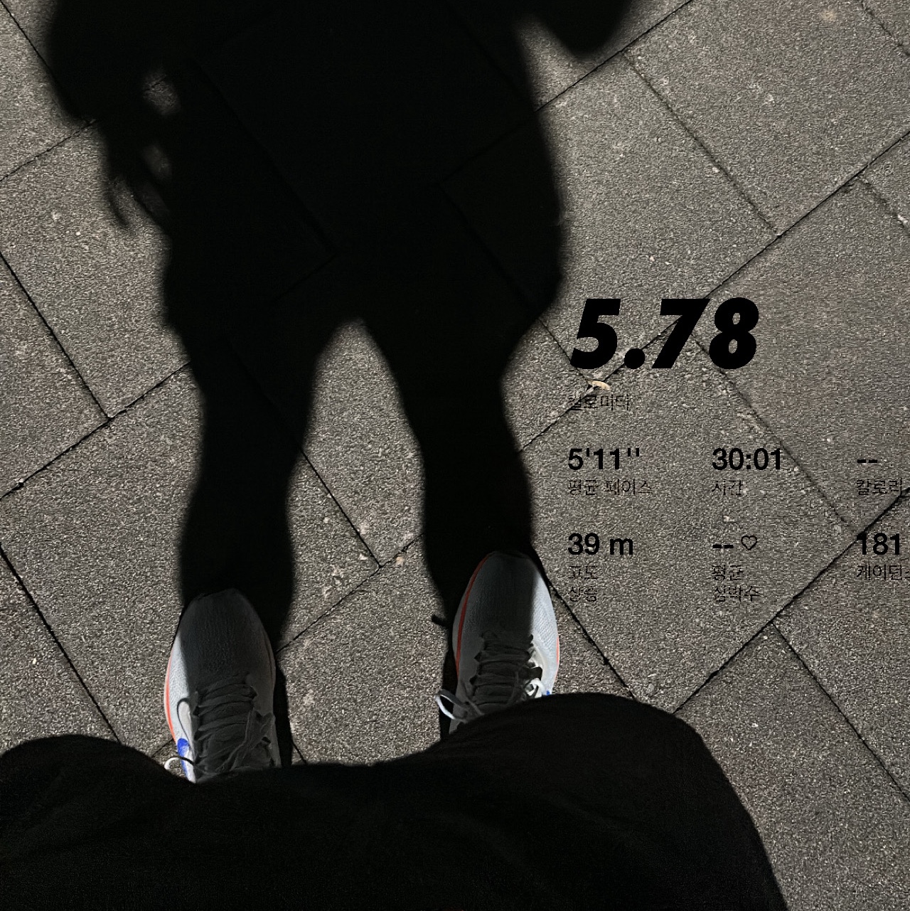 Nike Air Zoom Pegasus 41 Blueprint 착용 스타일
