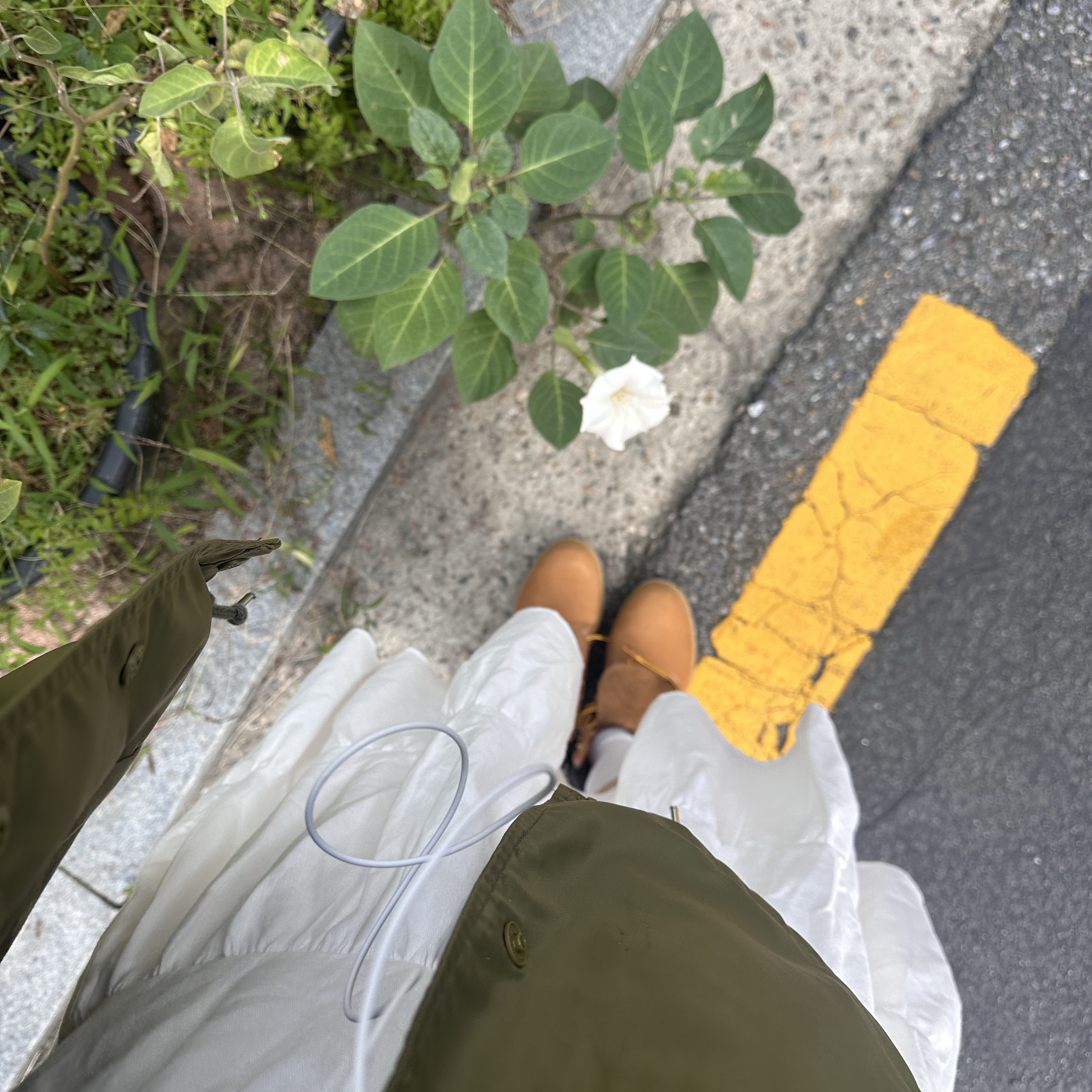 Timberland Premium 6 inch Waterproof Boot Wheat Nubuck - Wide 착용 스타일 - 2