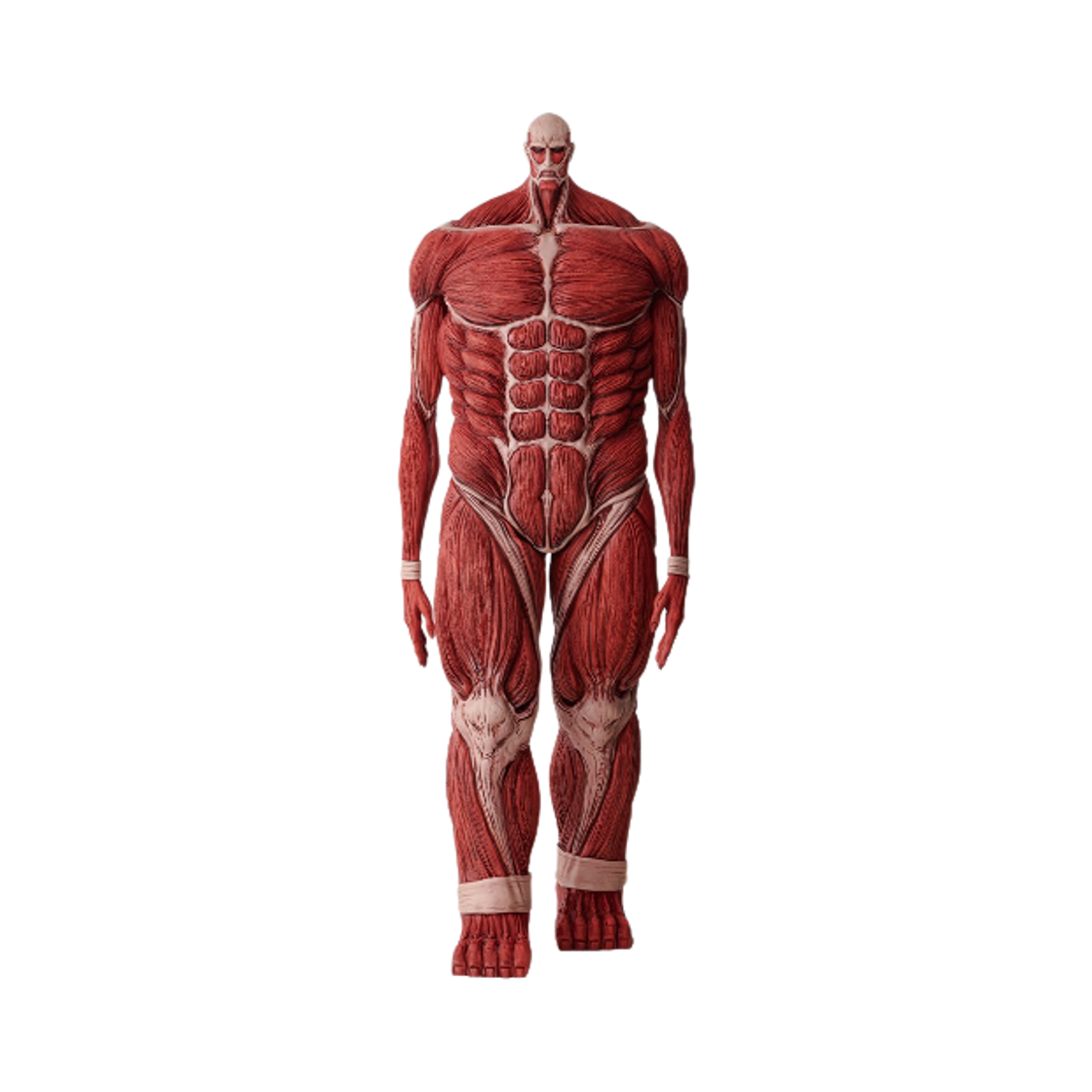 반다이 제일복권 진격의 거인 짐승 거인을 쓰러뜨리겠다 라스트원상 초대형 거인 메가임팩트(Bandai Ichiban Kuji Attack On Titan I'll Take Down The Beast Titan Last One Prize Colossal Titan MEGAIMPACT)