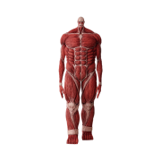 Bandai Ichiban Kuji Attack On Titan I'll Take Down The Beast Titan Last One Prize Colossal Titan MEGAIMPACT