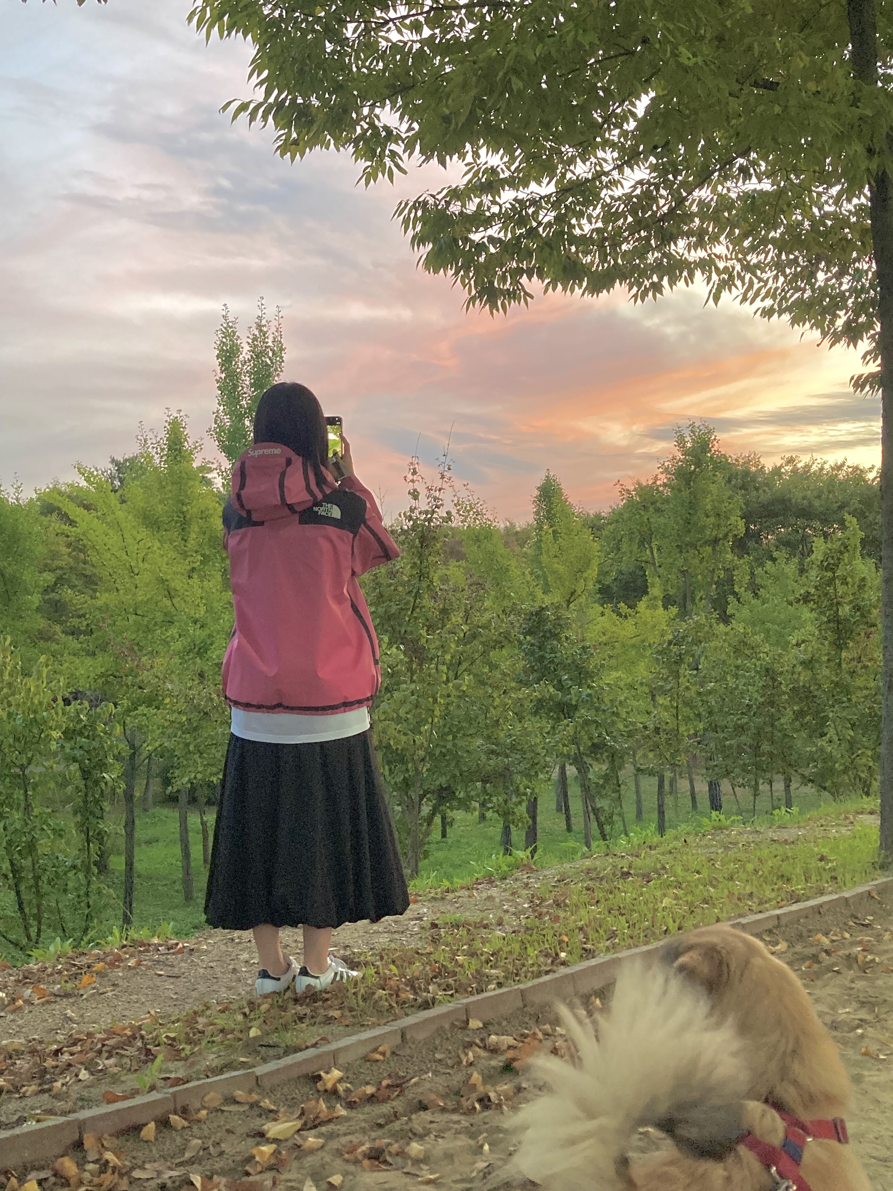 Supreme x The North Face Summit Series Outer Tape Seam Jacket Pink - 21SS, Adidas Samba OG Cloud White 착용 스타일 - 1