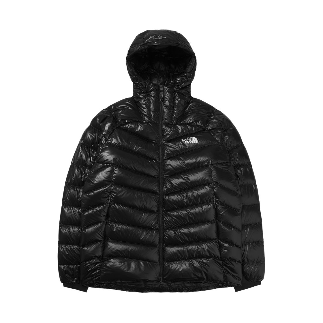 노스페이스 써밋 마테호른 RDS 다운 자켓 블랙(The North Face Summit Mattehorn RDS Down Jacket Black)