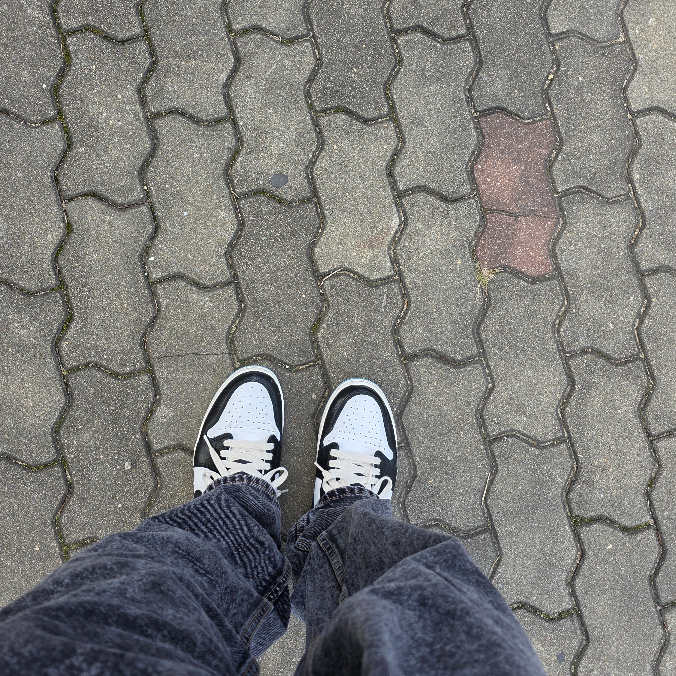Jordan 1 Retro Low OG Black and Dark Powder Blue 착용 스타일