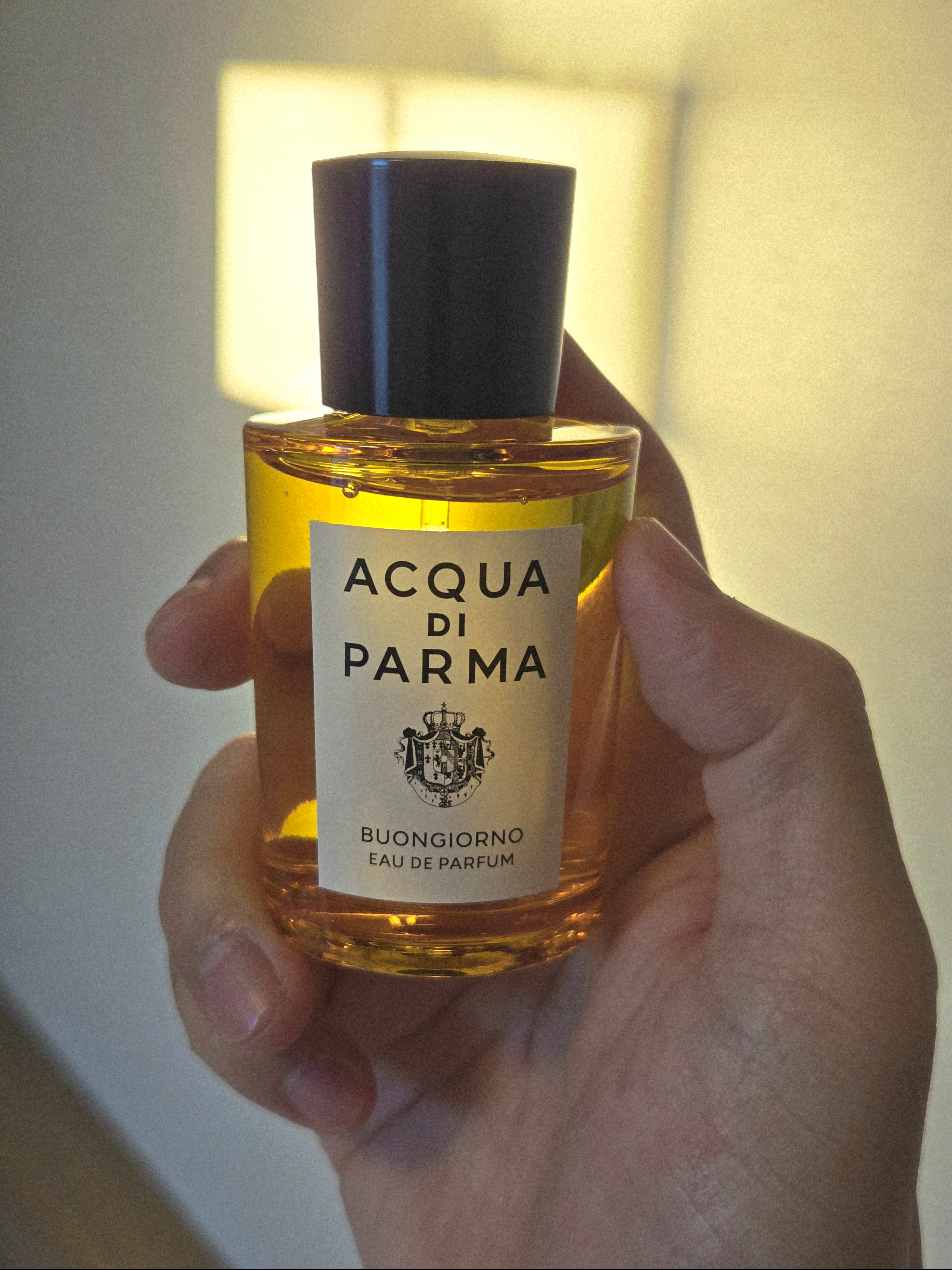 Acqua Di Parma Buongiorno Eau De Parfum 50ml 착용 스타일