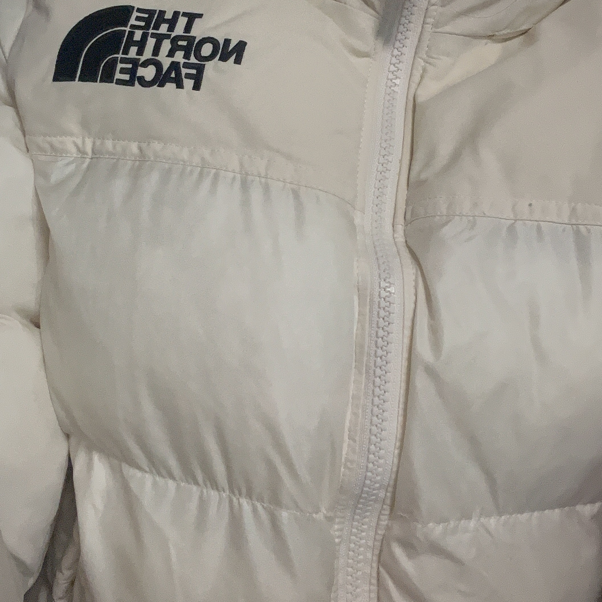 (W) The North Face Nuptse On Ball Jacket Ivory 착용 스타일