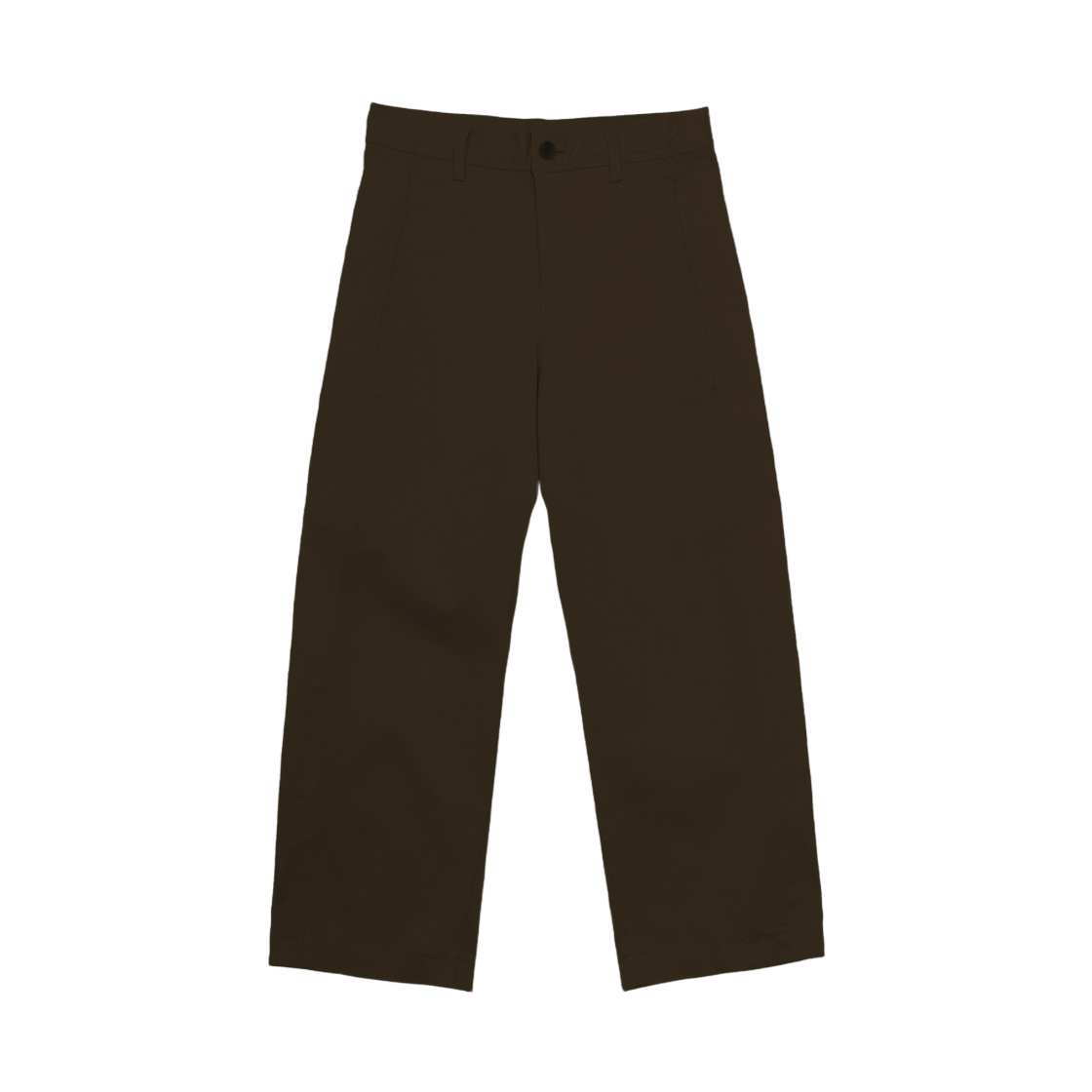 ARPT5202_BR Arrayed Fatigue Wide Balloon Chino Pants Brown